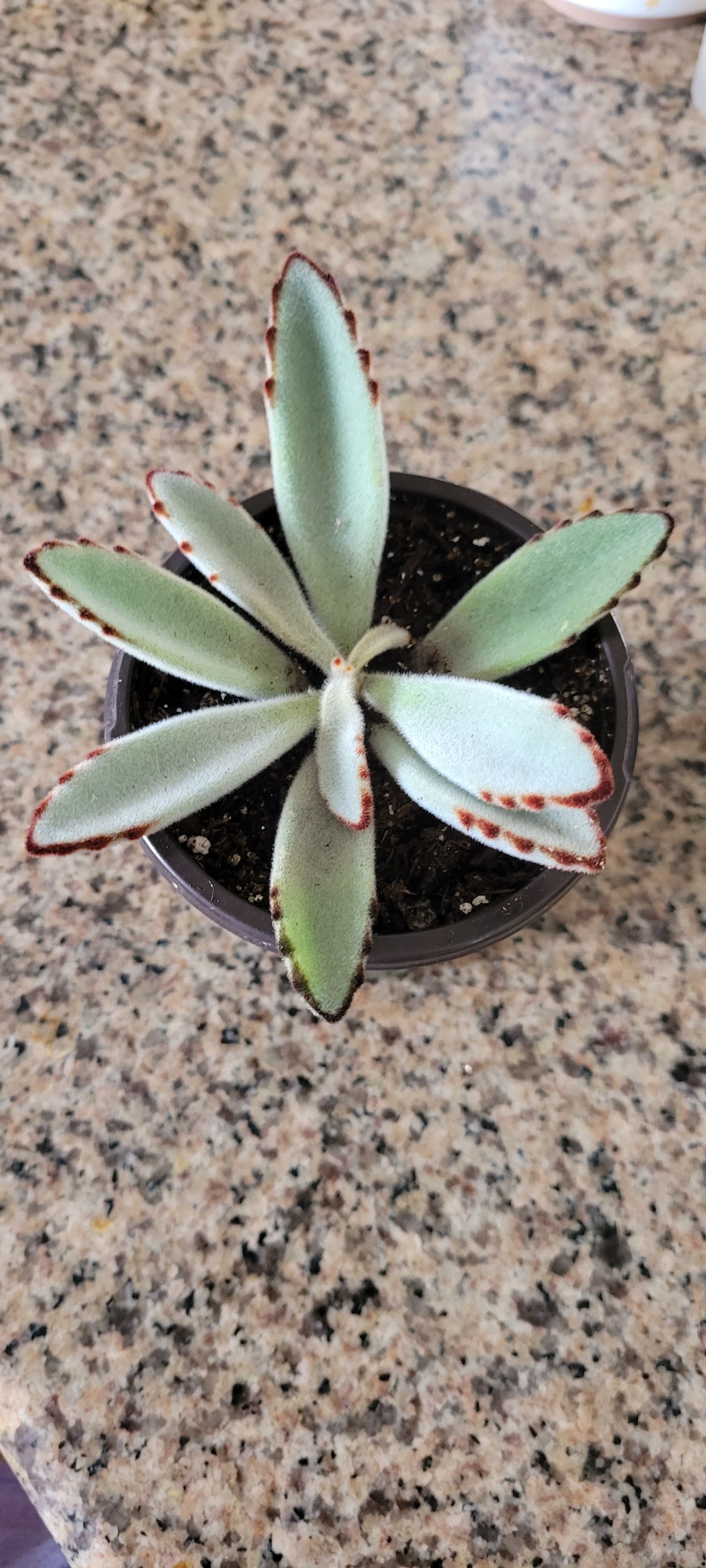 Photo from the post