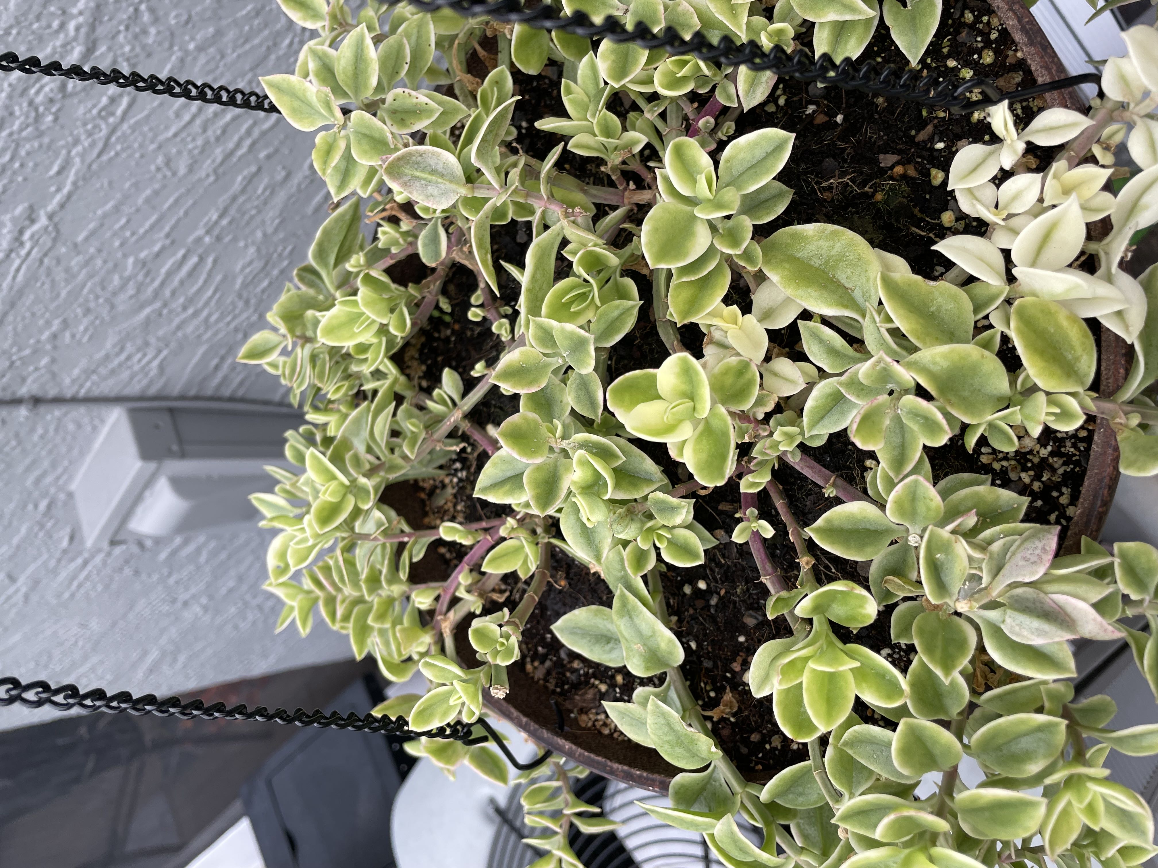 Photo from the post