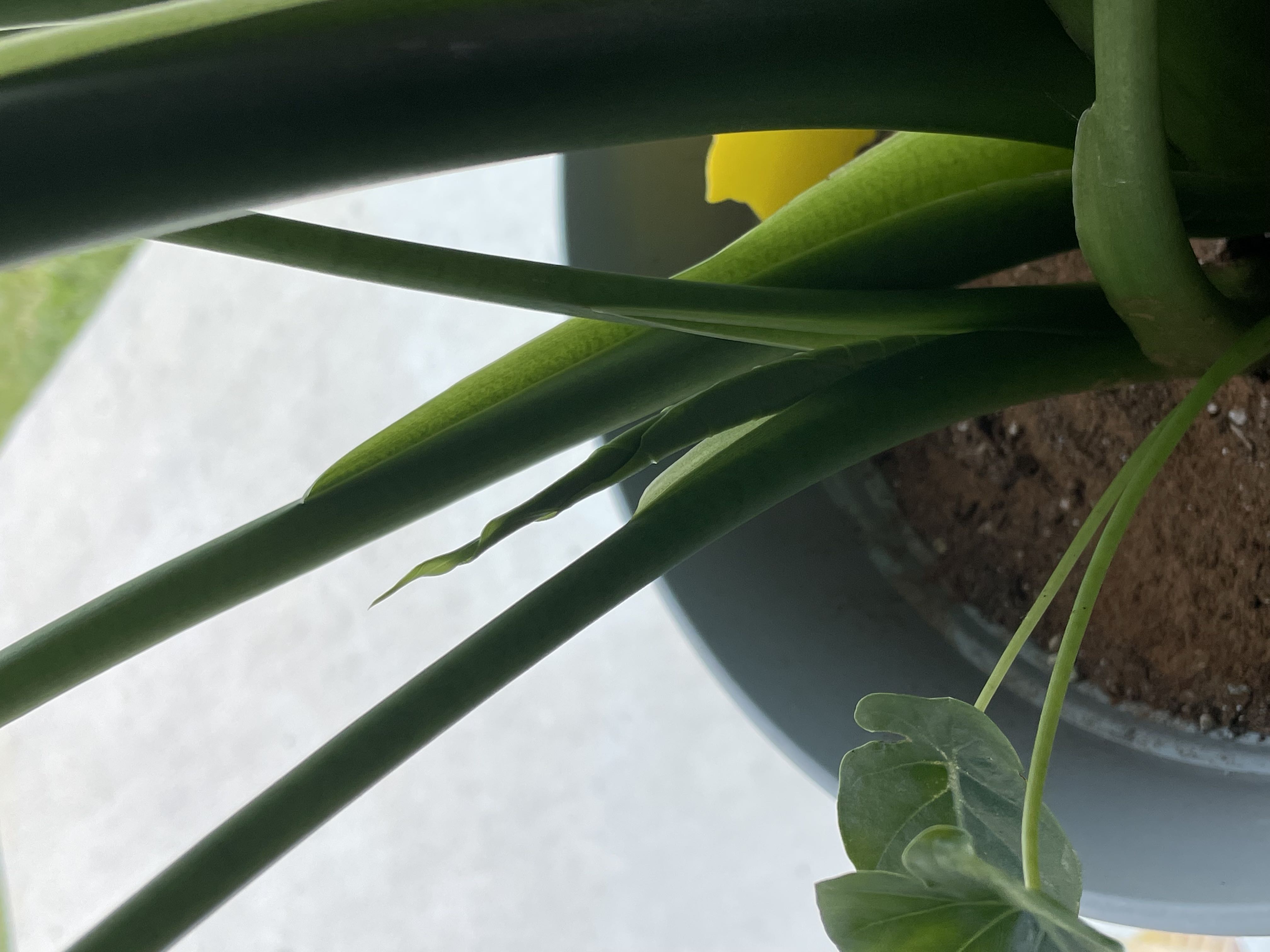 Photo from the post