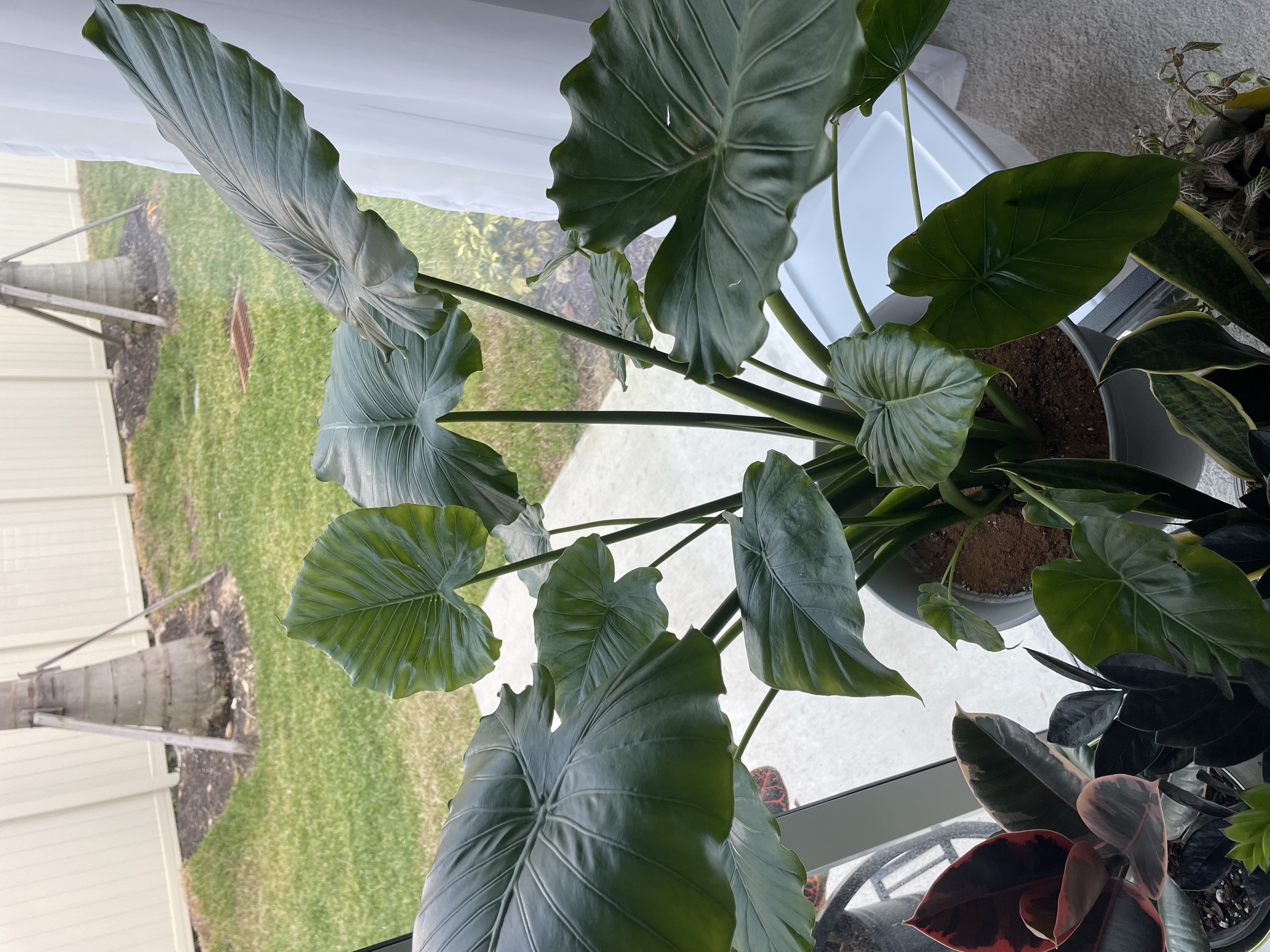 Photo from the post