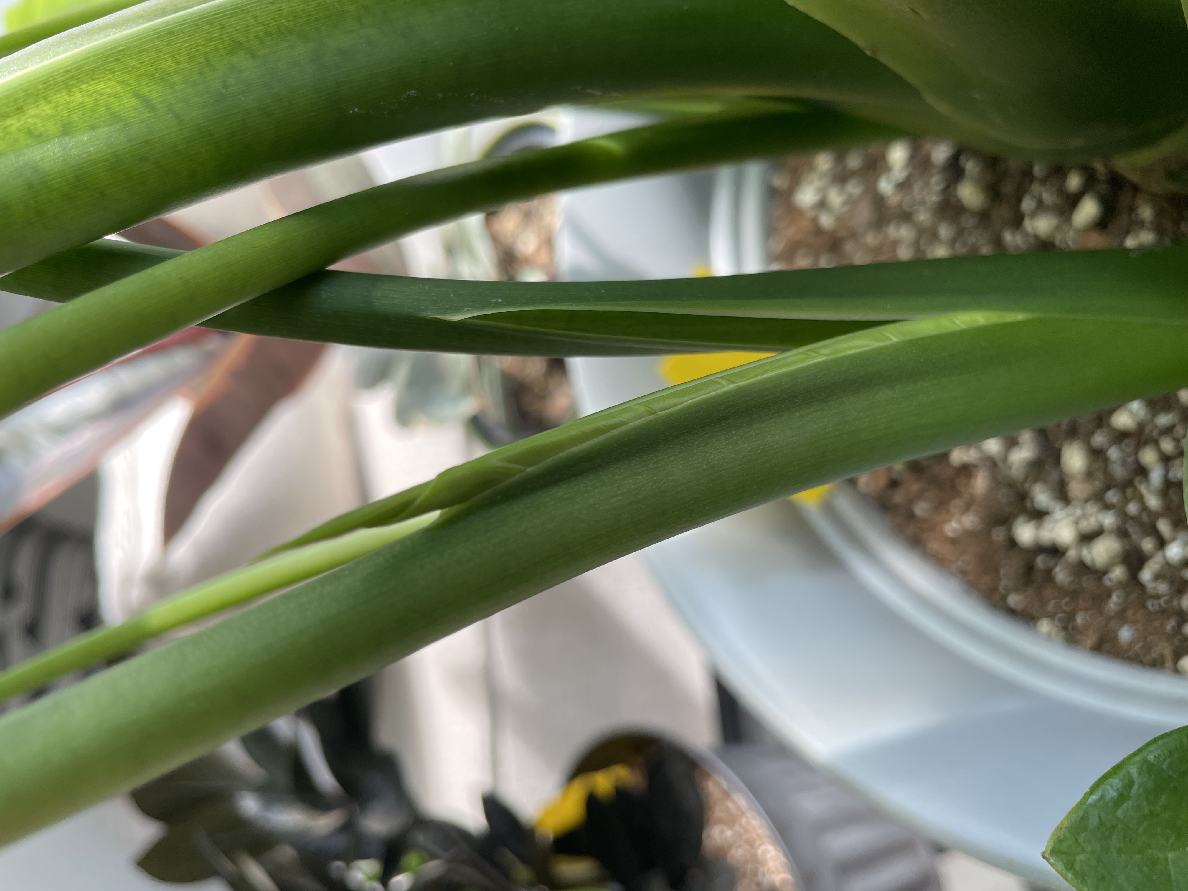 Photo from the post