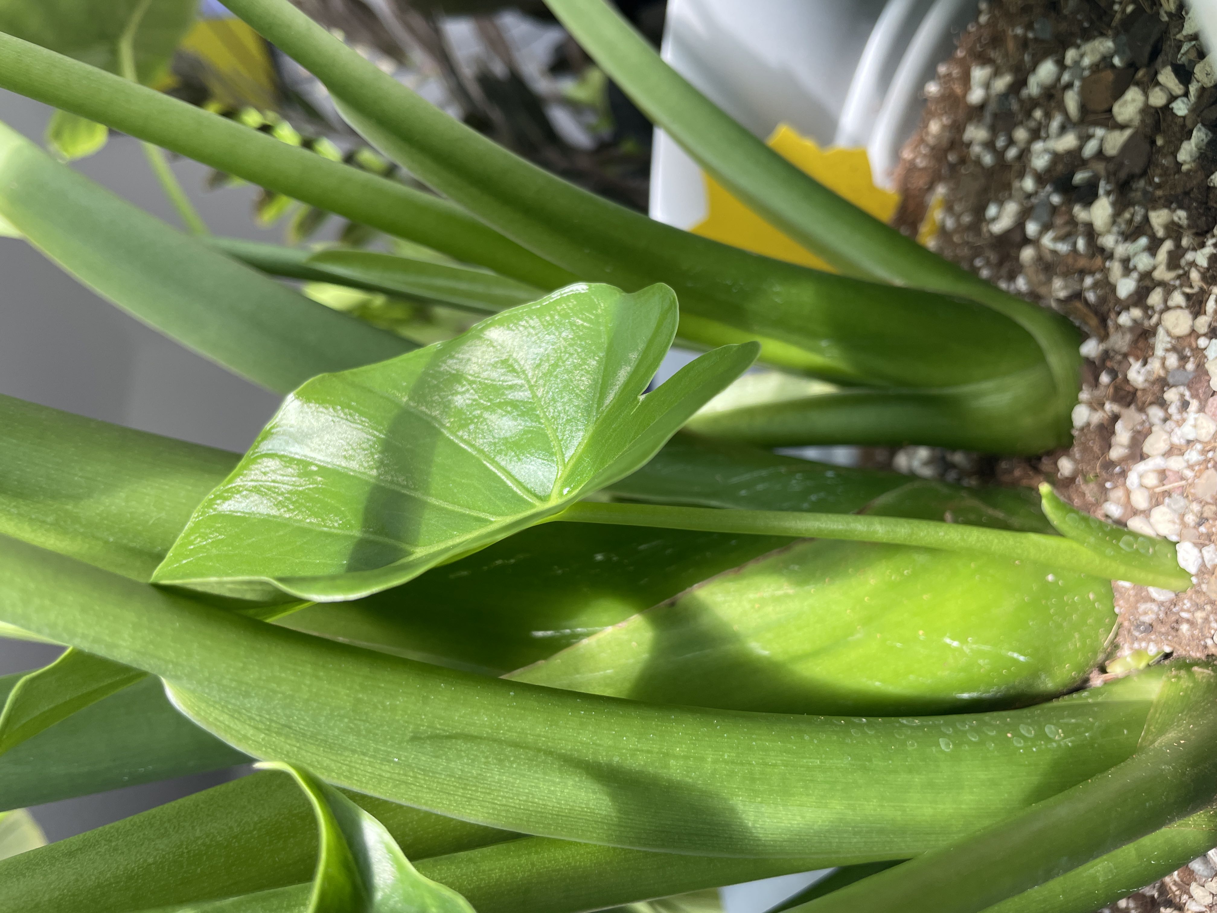 Photo from the post