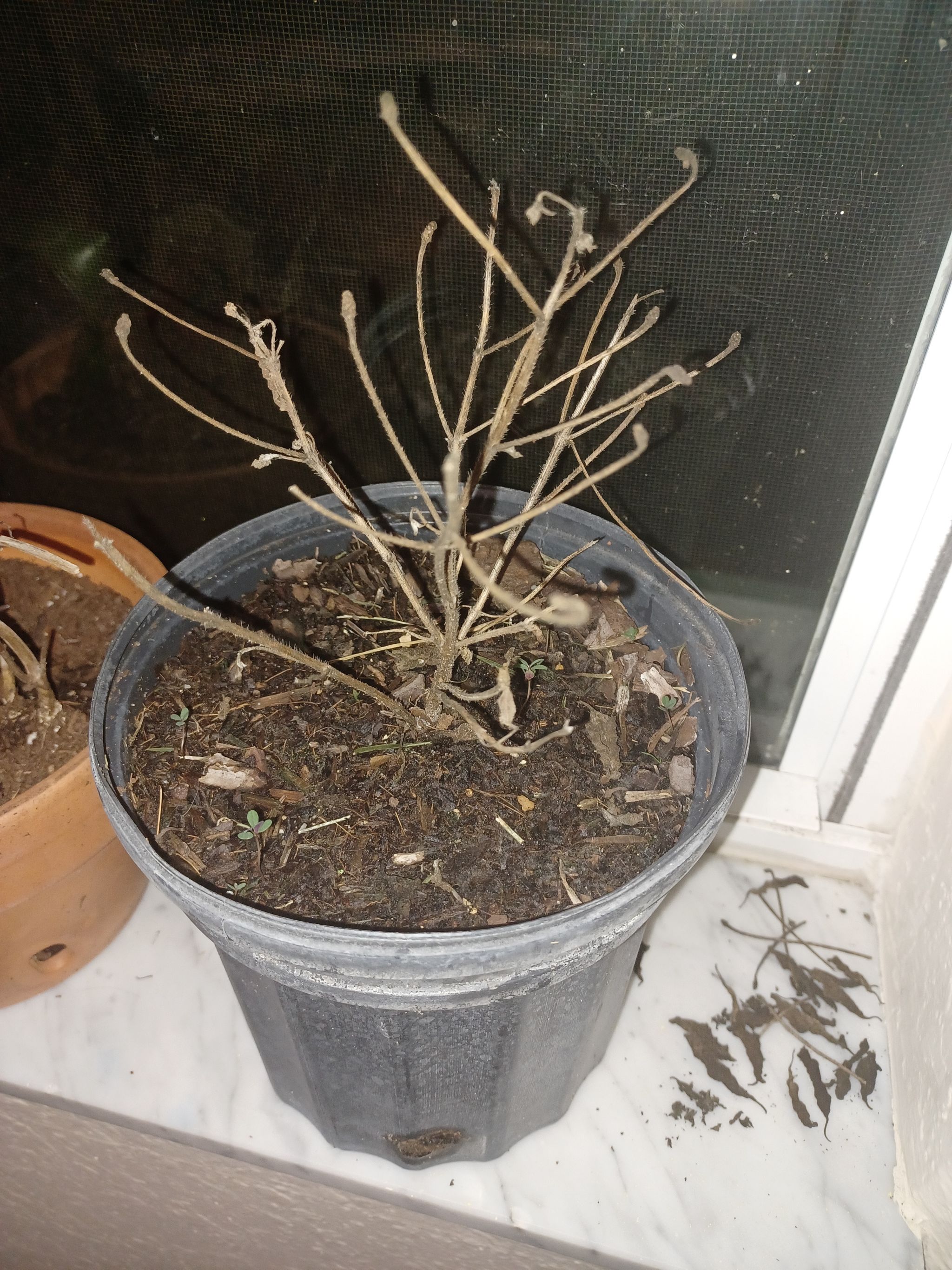 Photo from the post