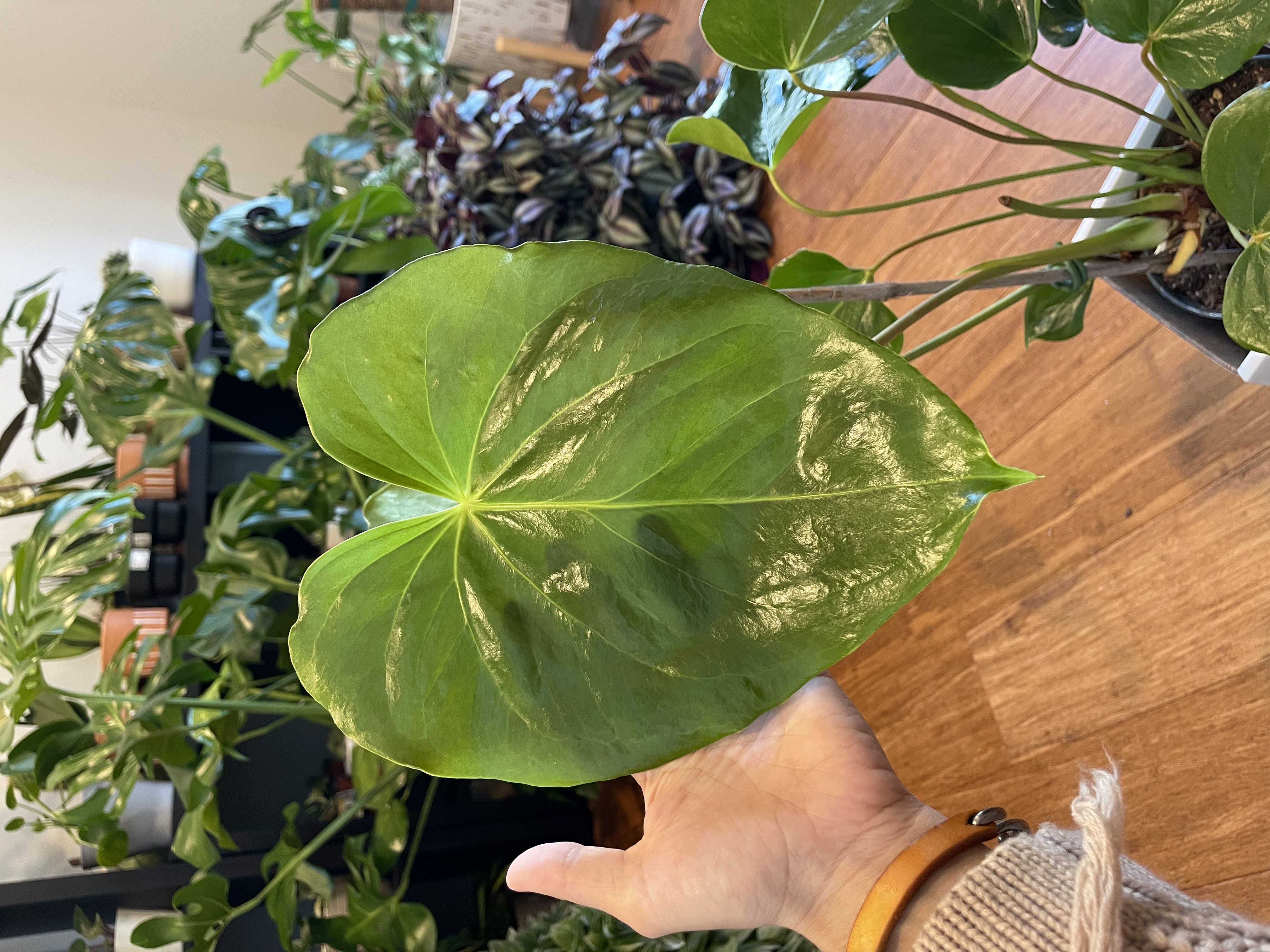 Photo from the post