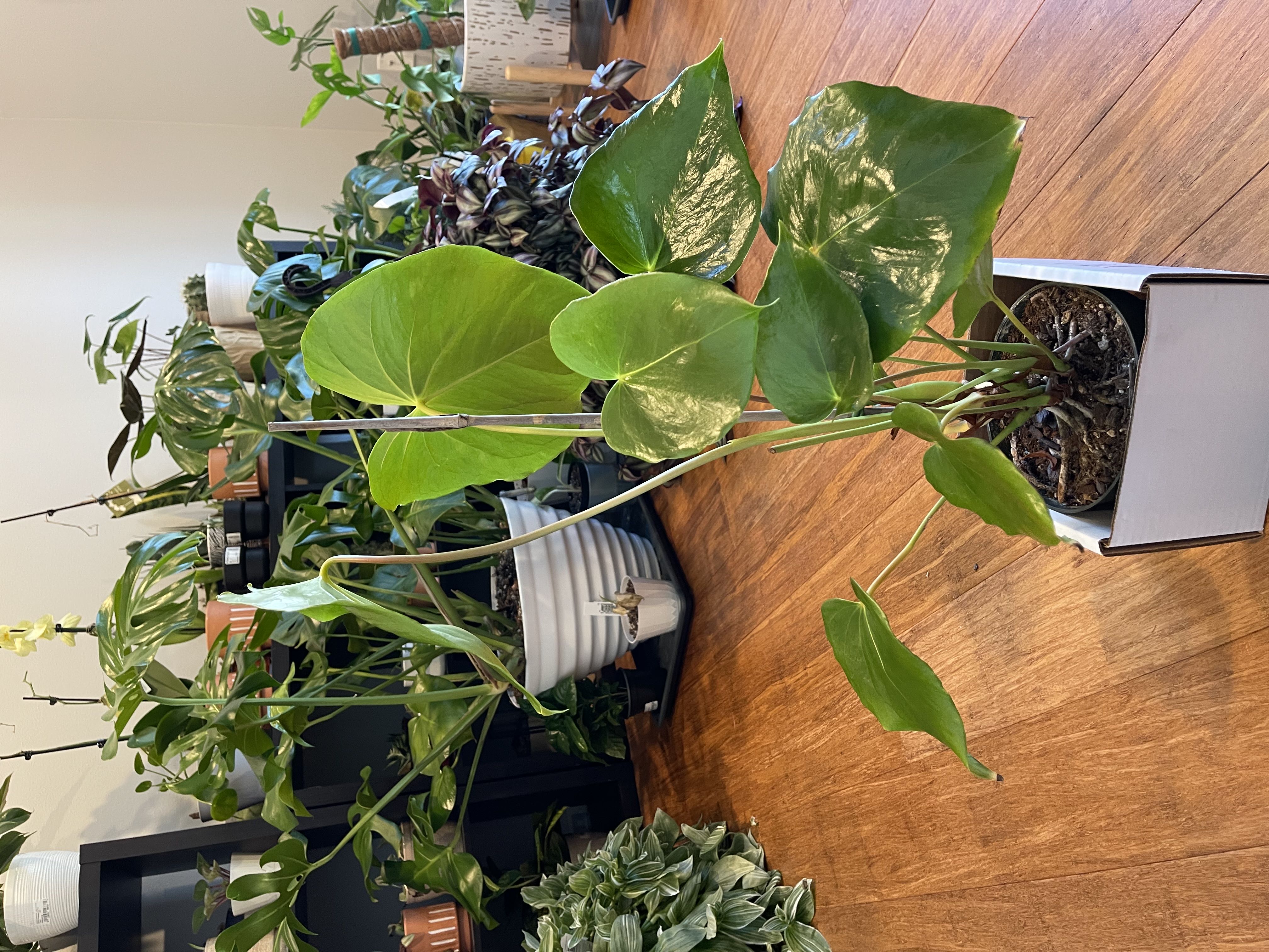 Photo from the post