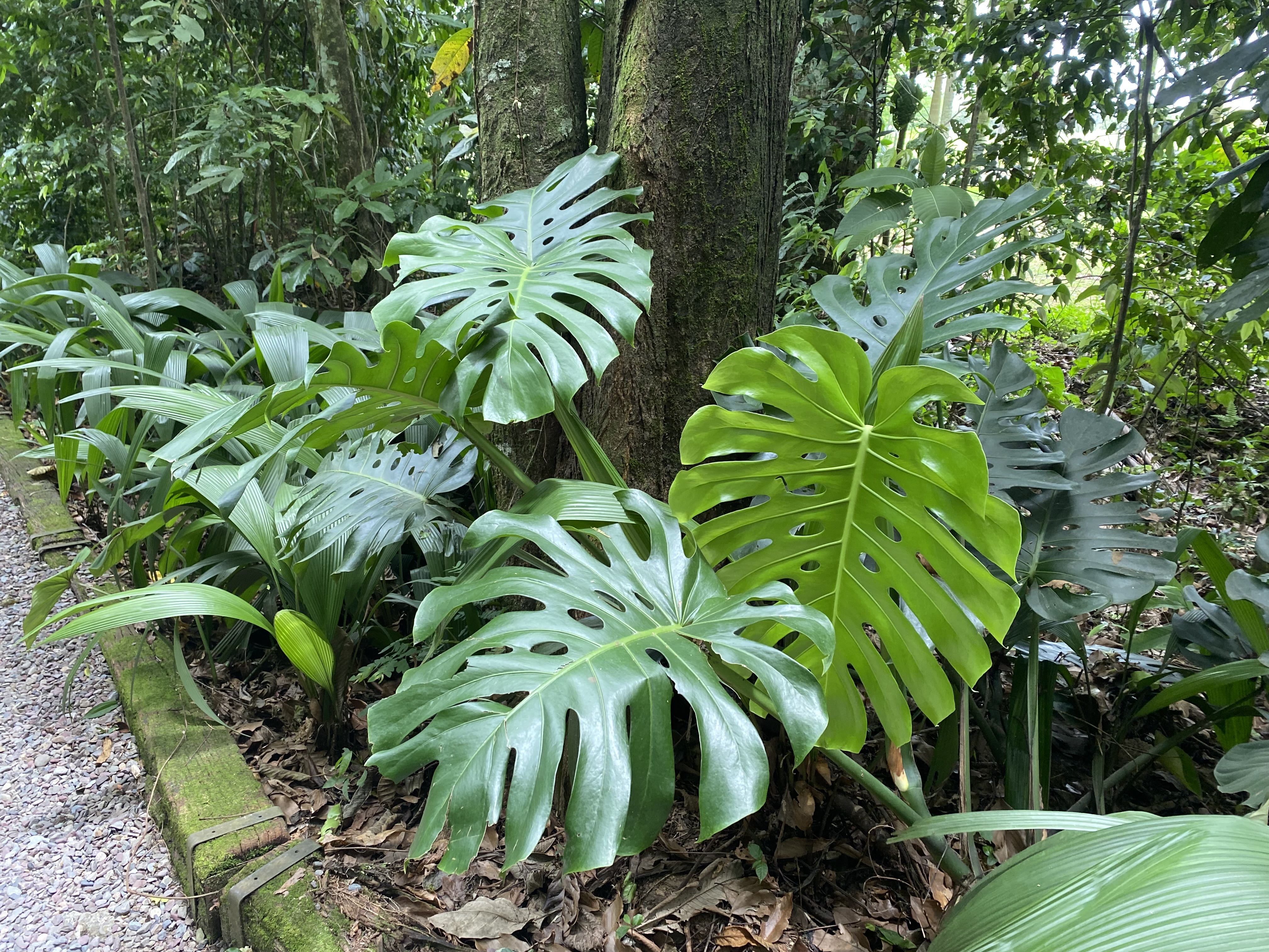 Photo from the post