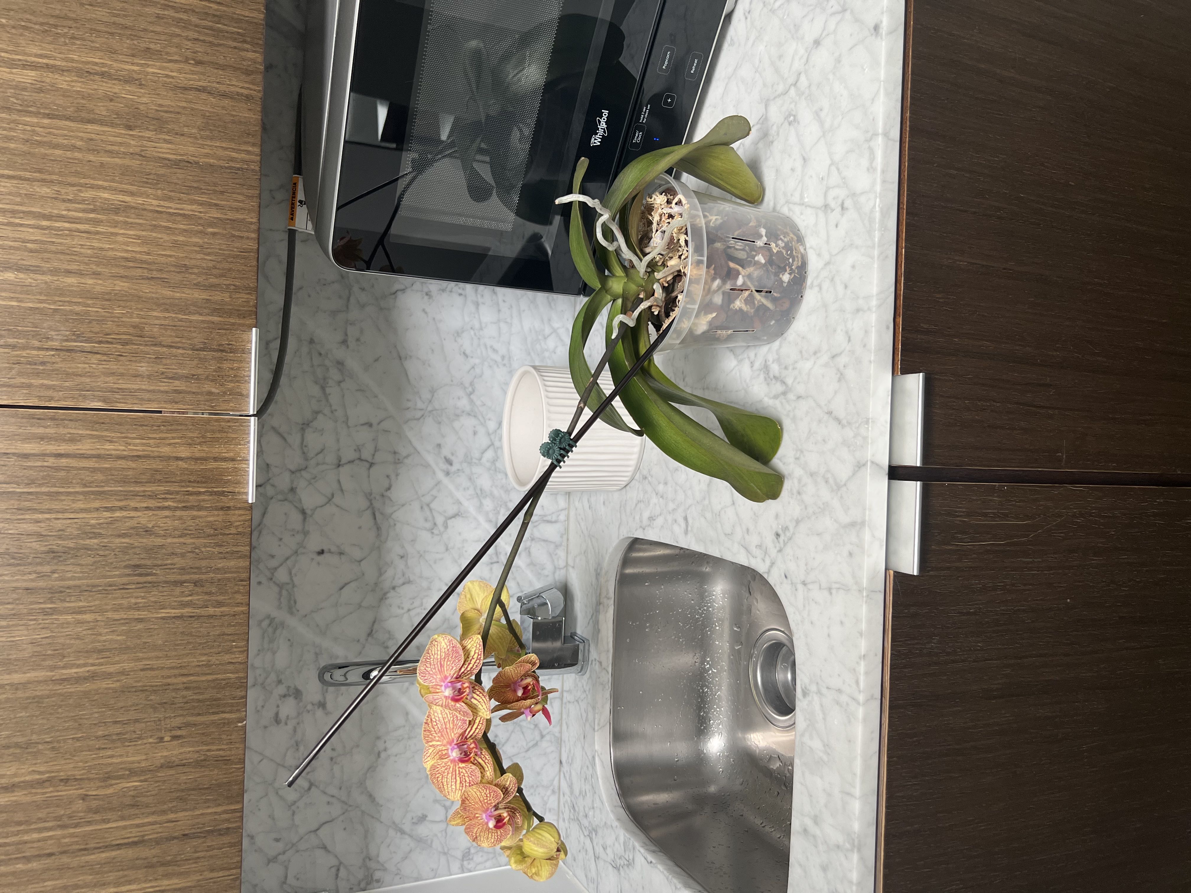 Photo from the post