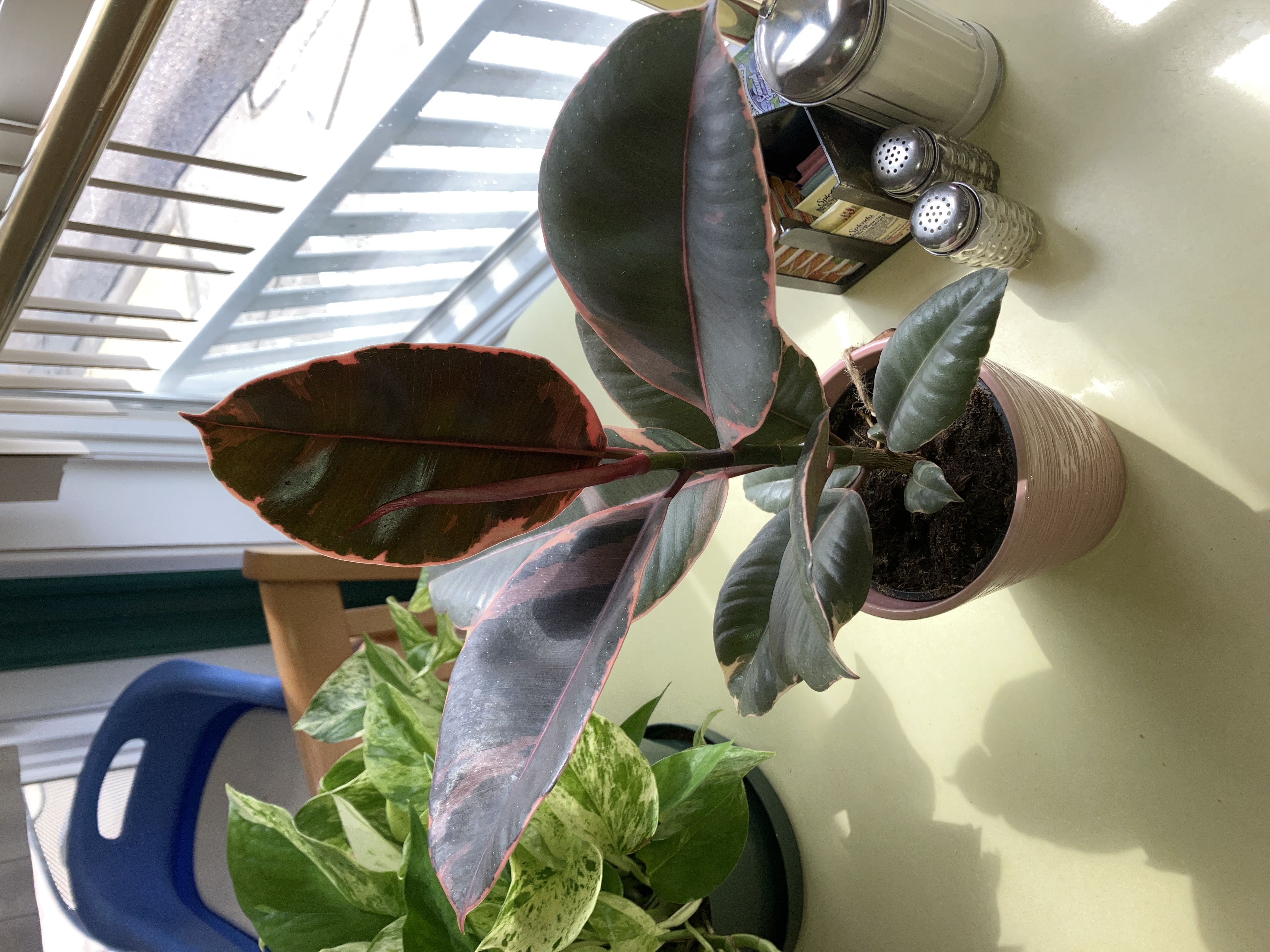 Photo from the post