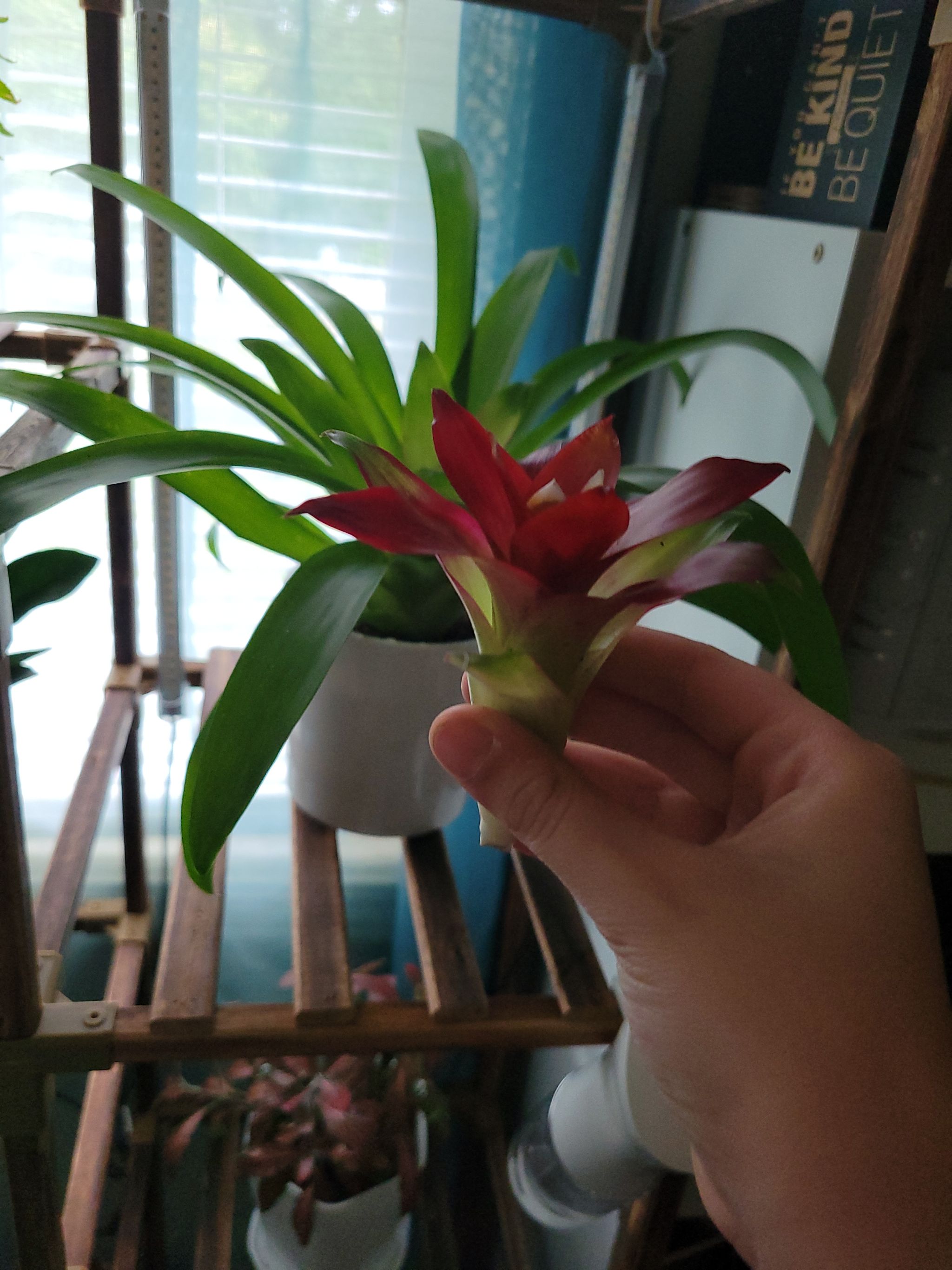 Photo from the post