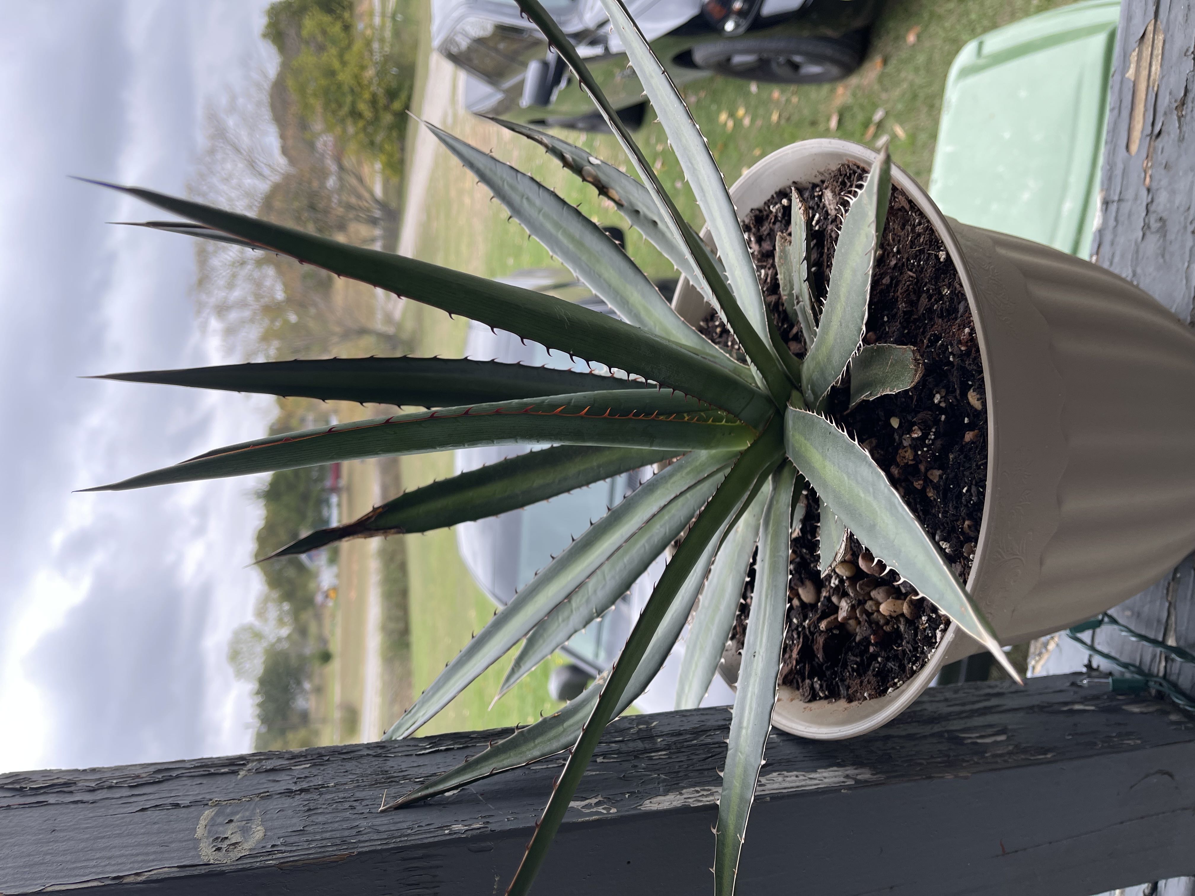 Photo from the post