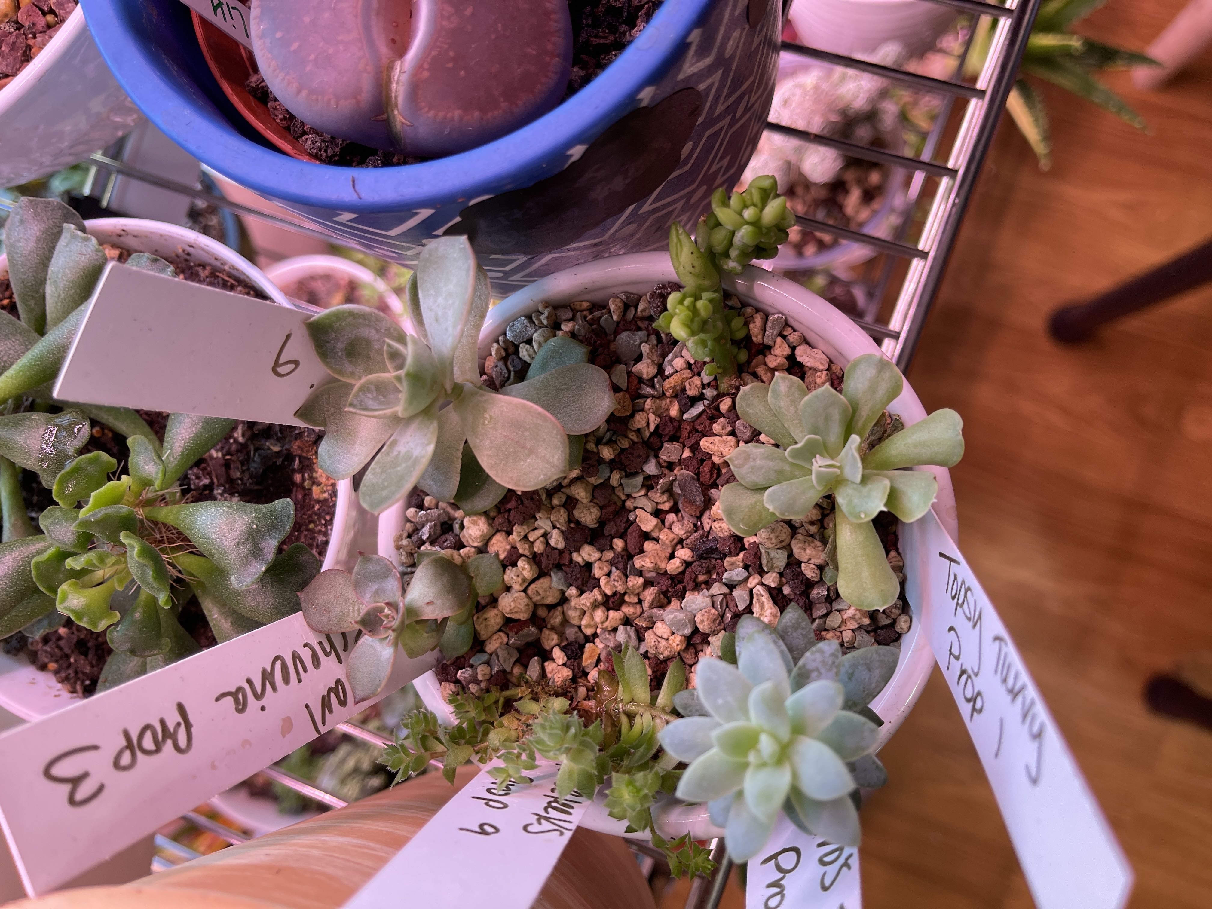 Photo from the post
