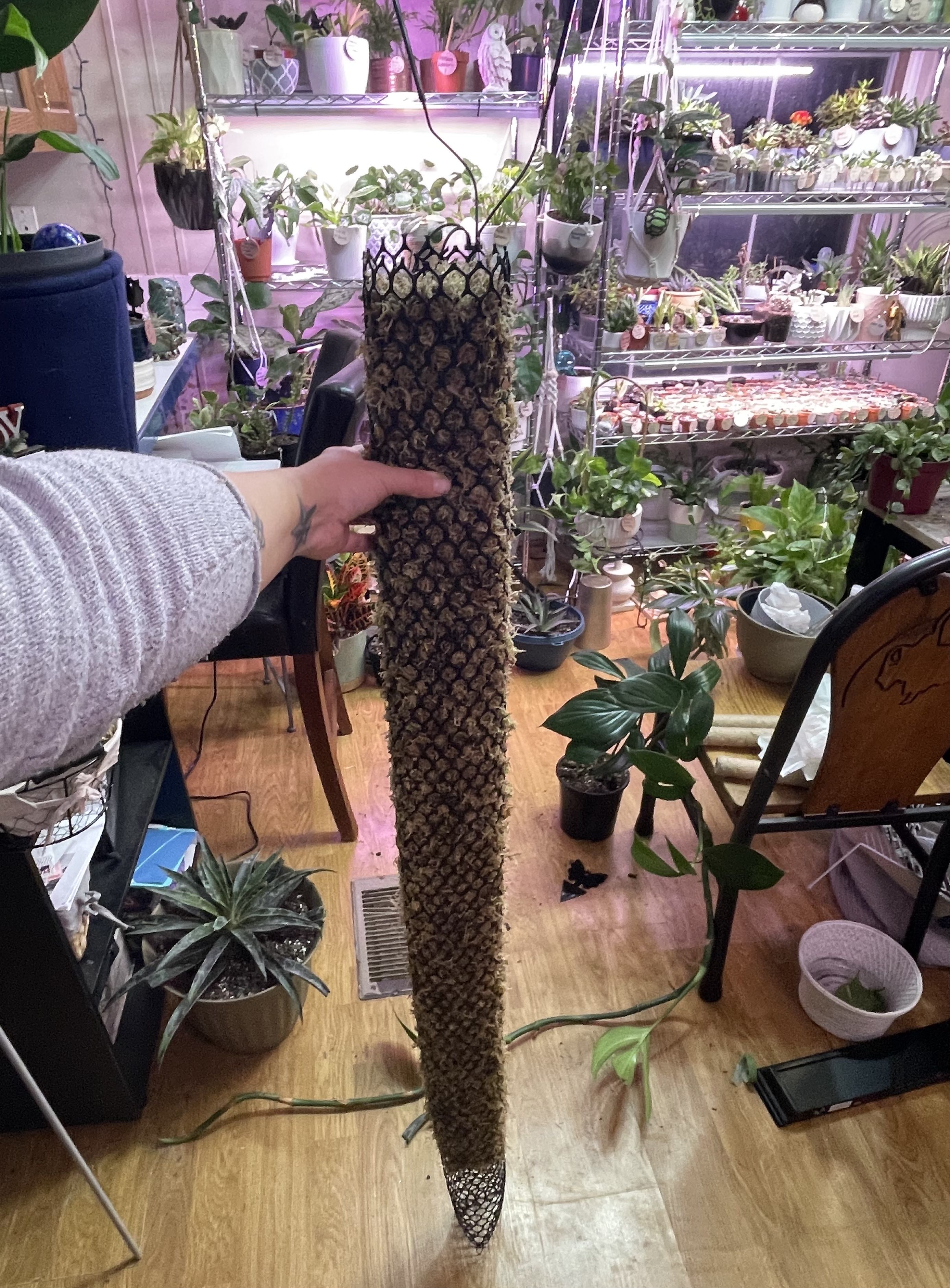 Photo from the post