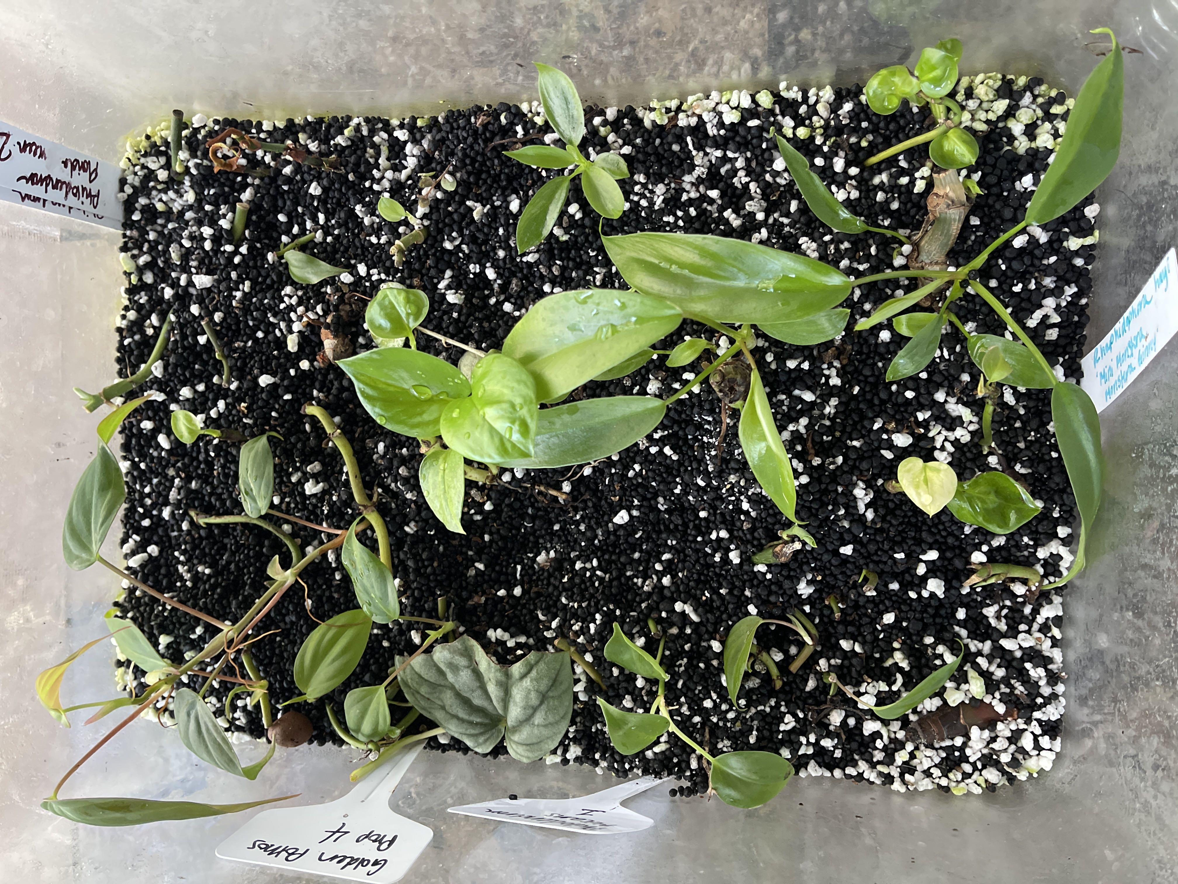 Photo from the post