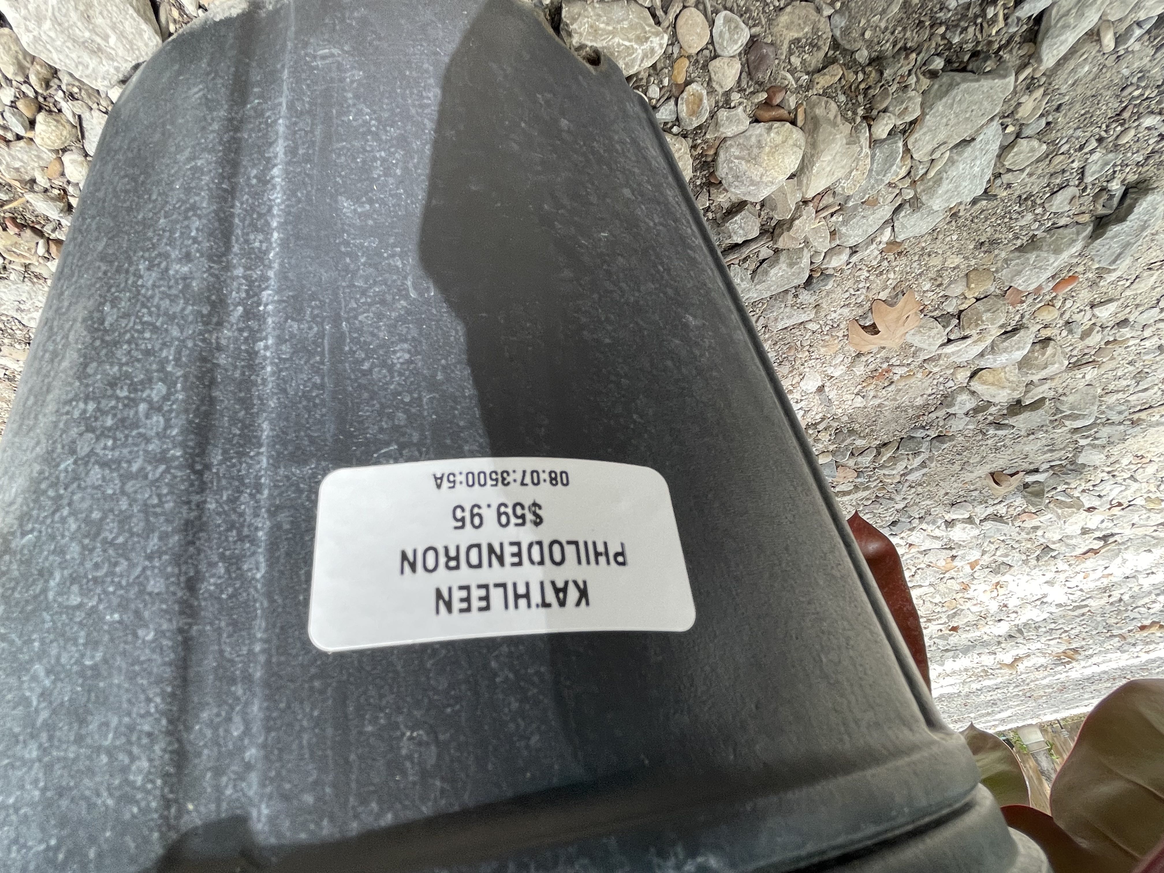 Photo from the post