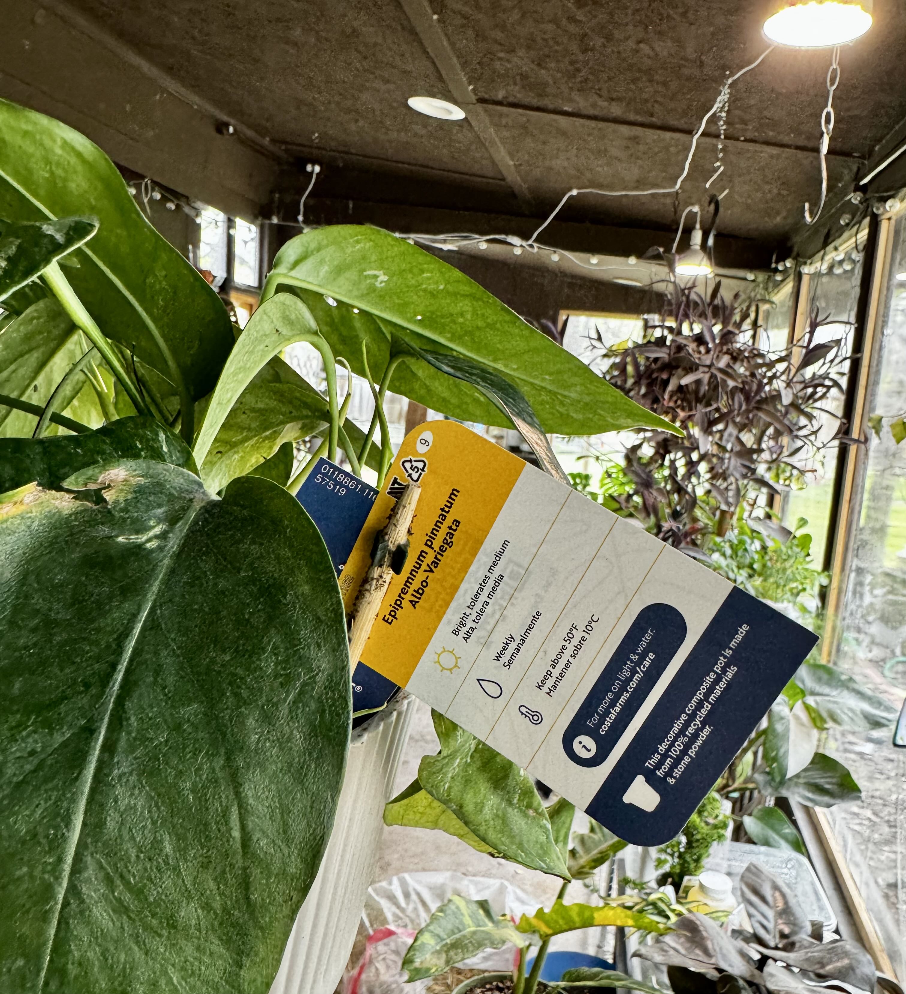 Photo from the post