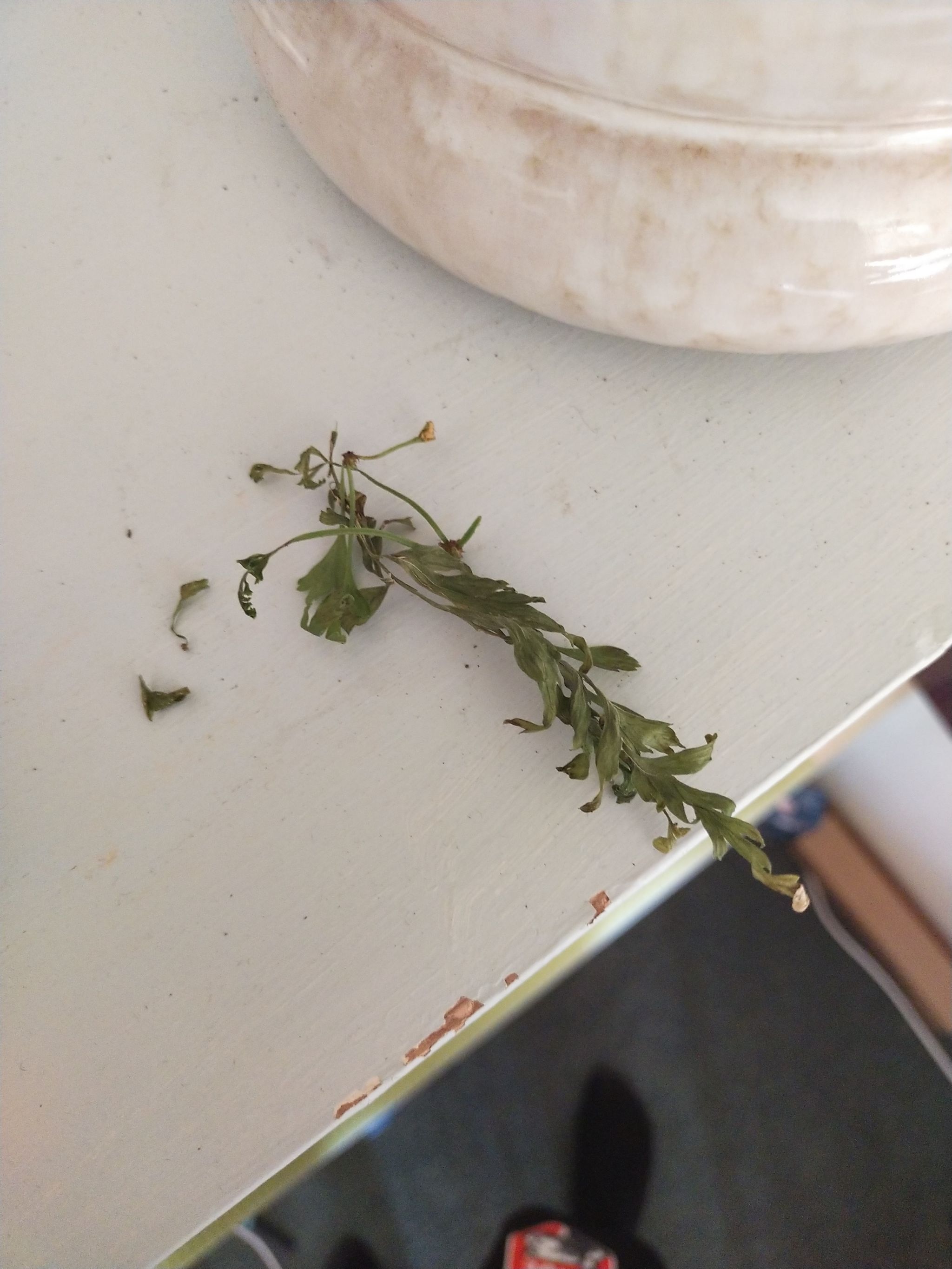 Photo from the post