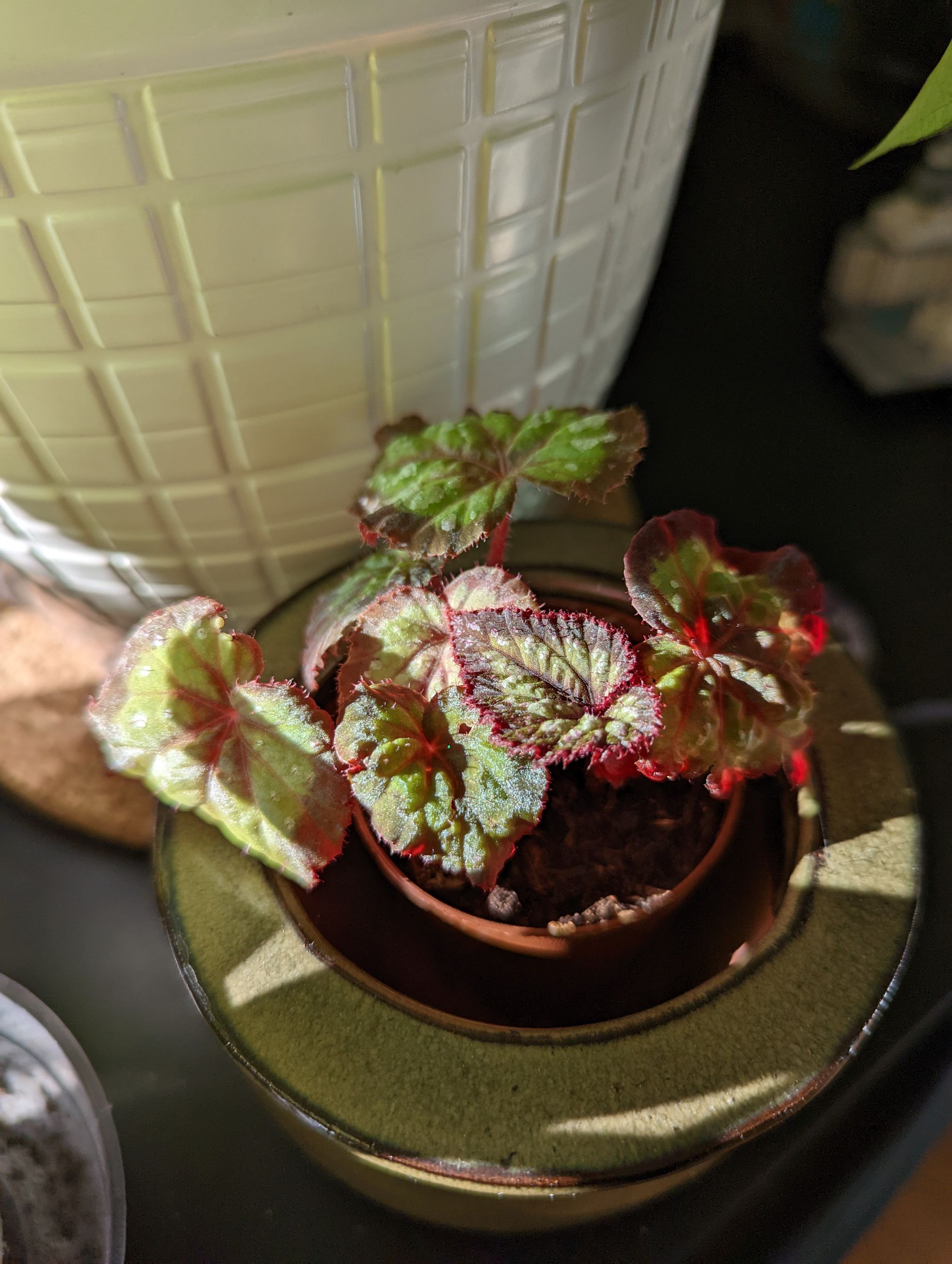 Photo from the post