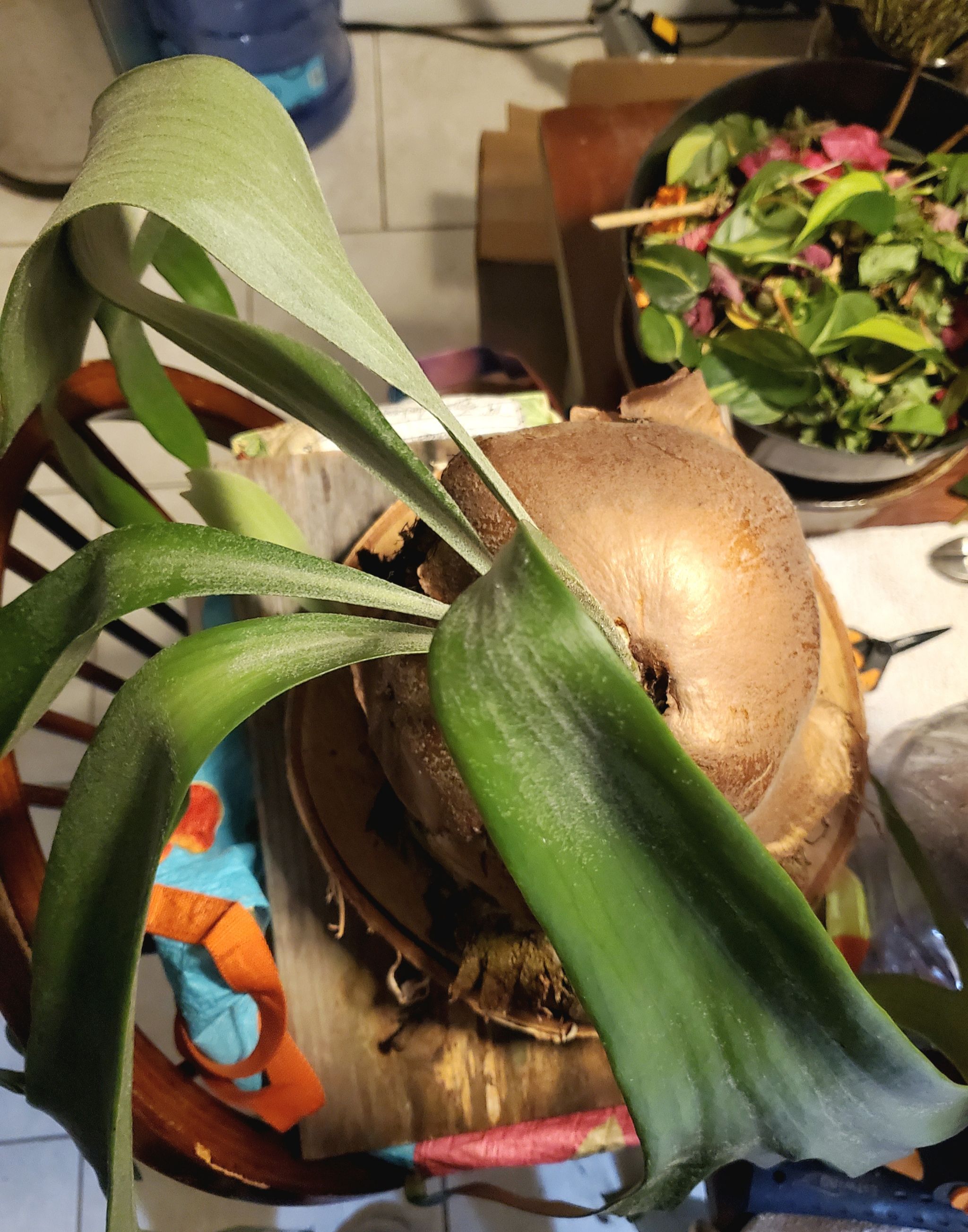 Photo from the post