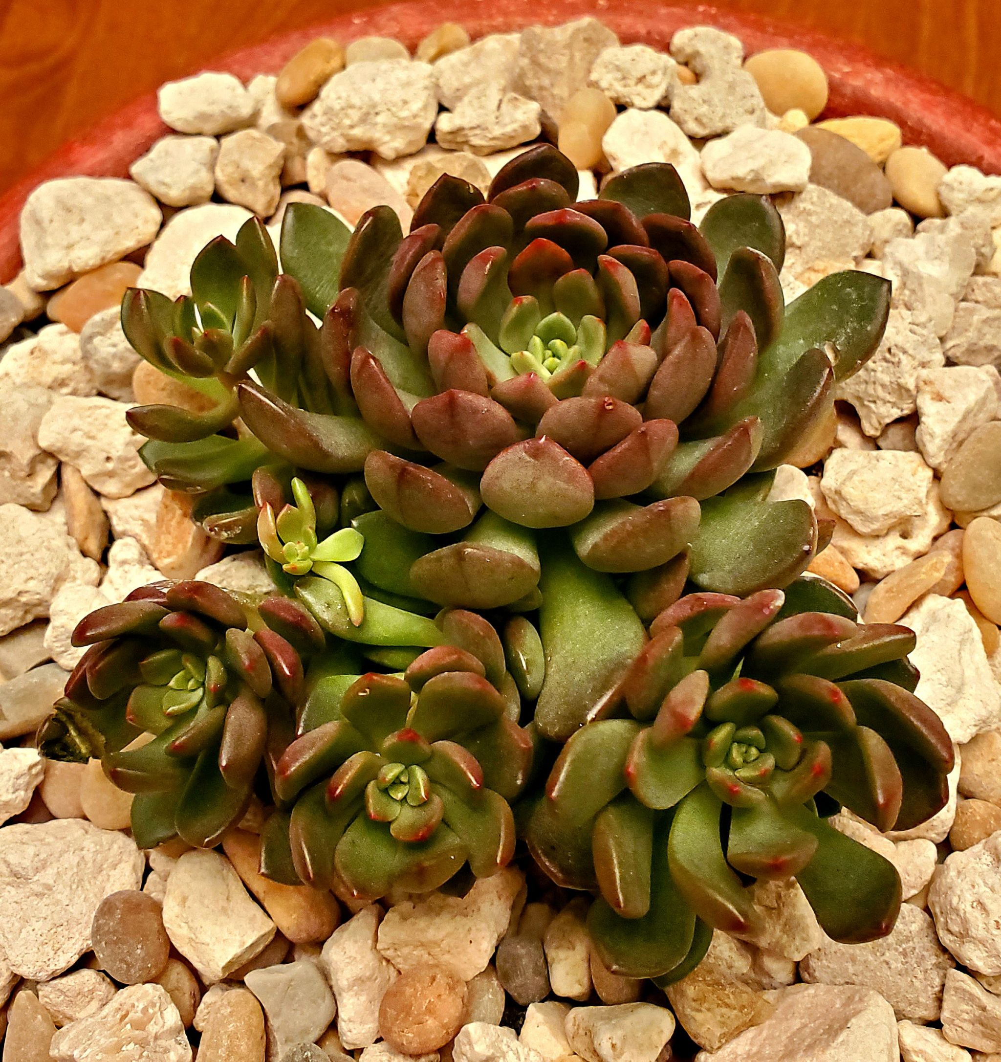 Photo from the post