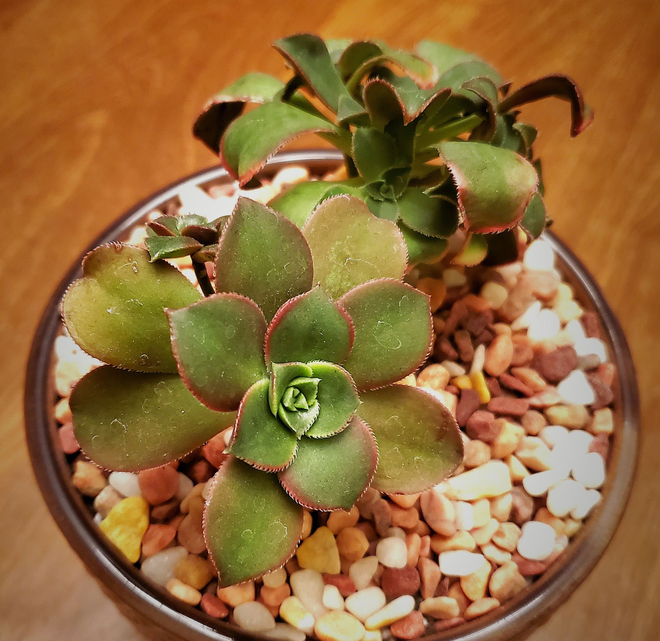 Photo from the post