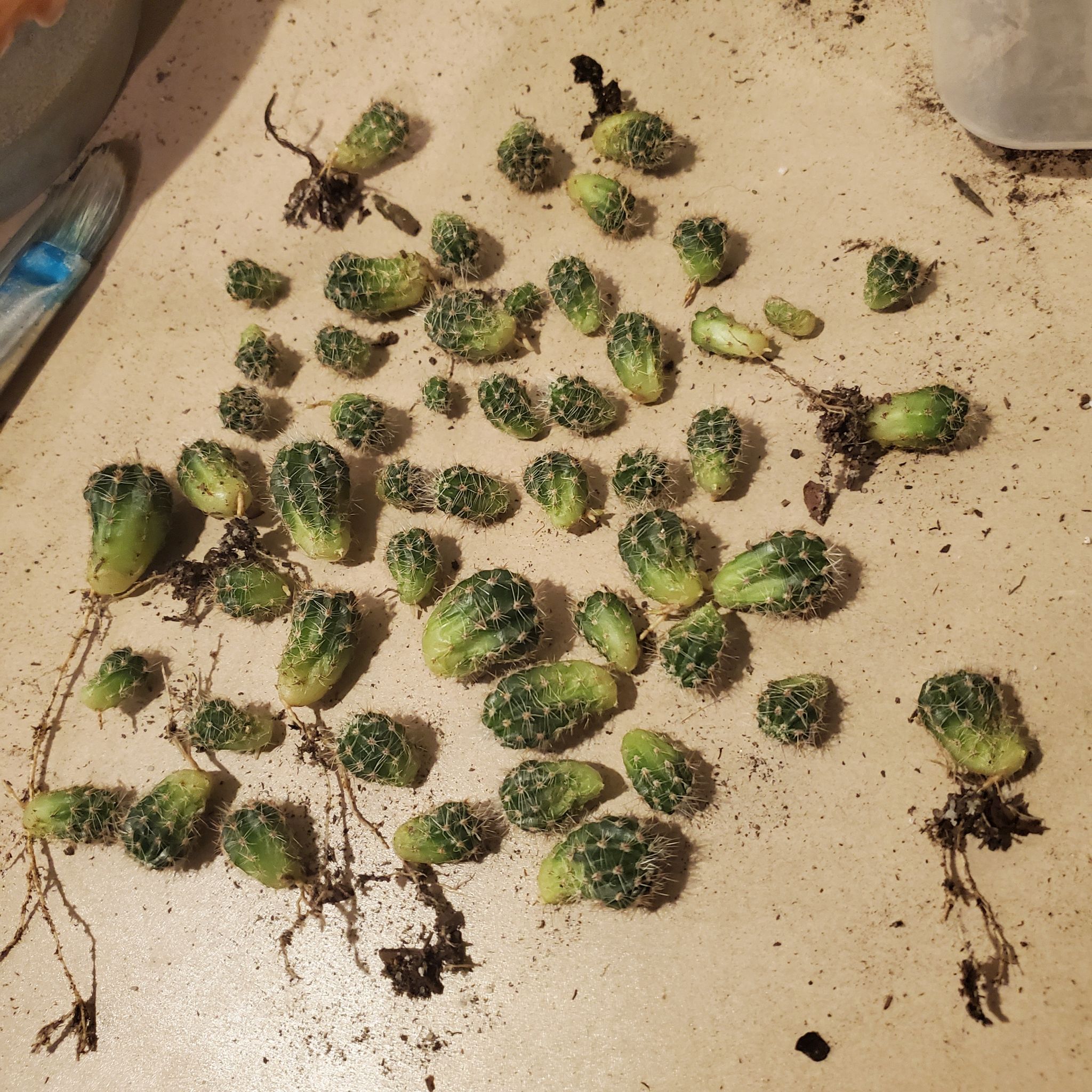 Photo from the post
