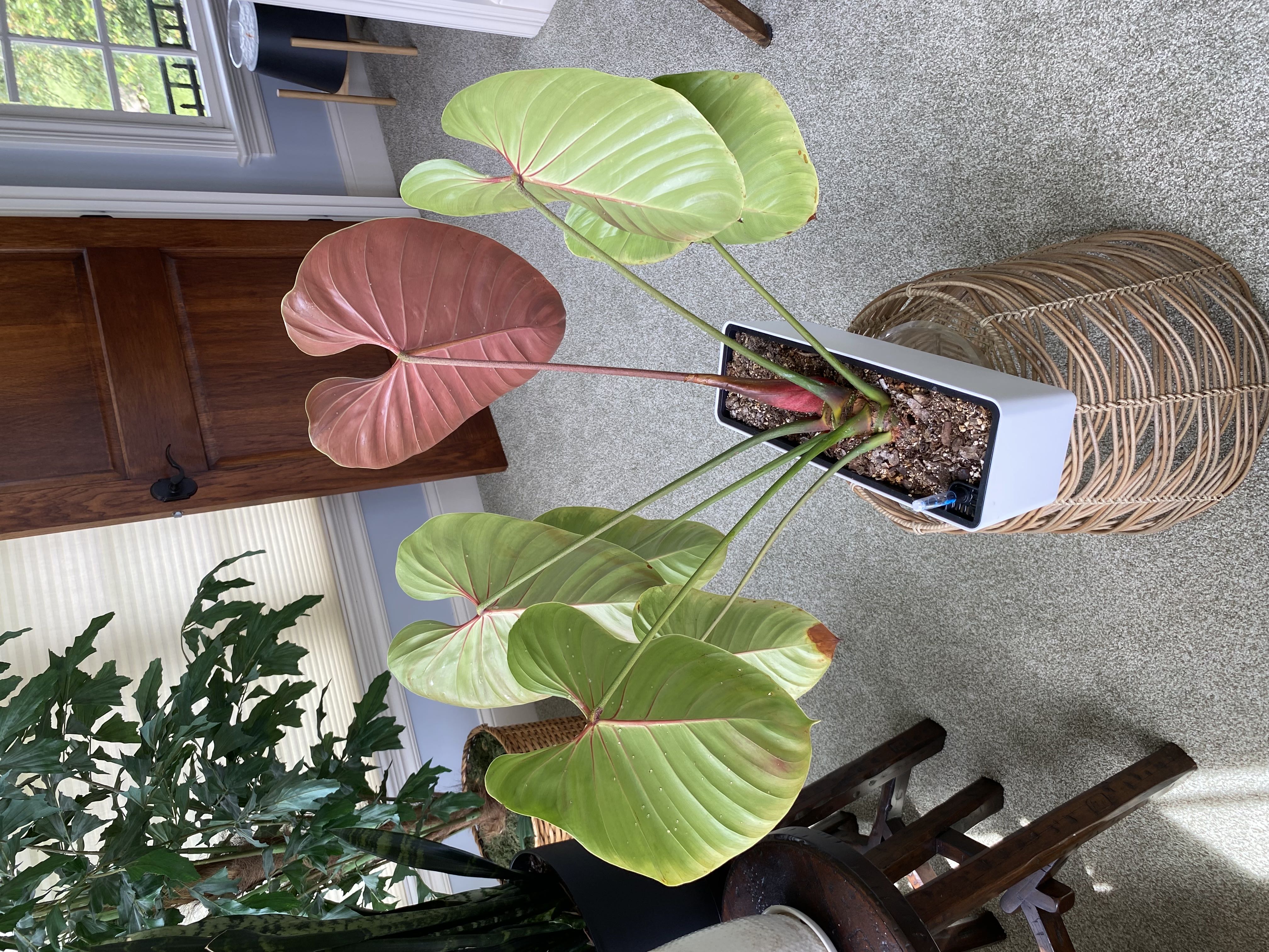 Photo from the post
