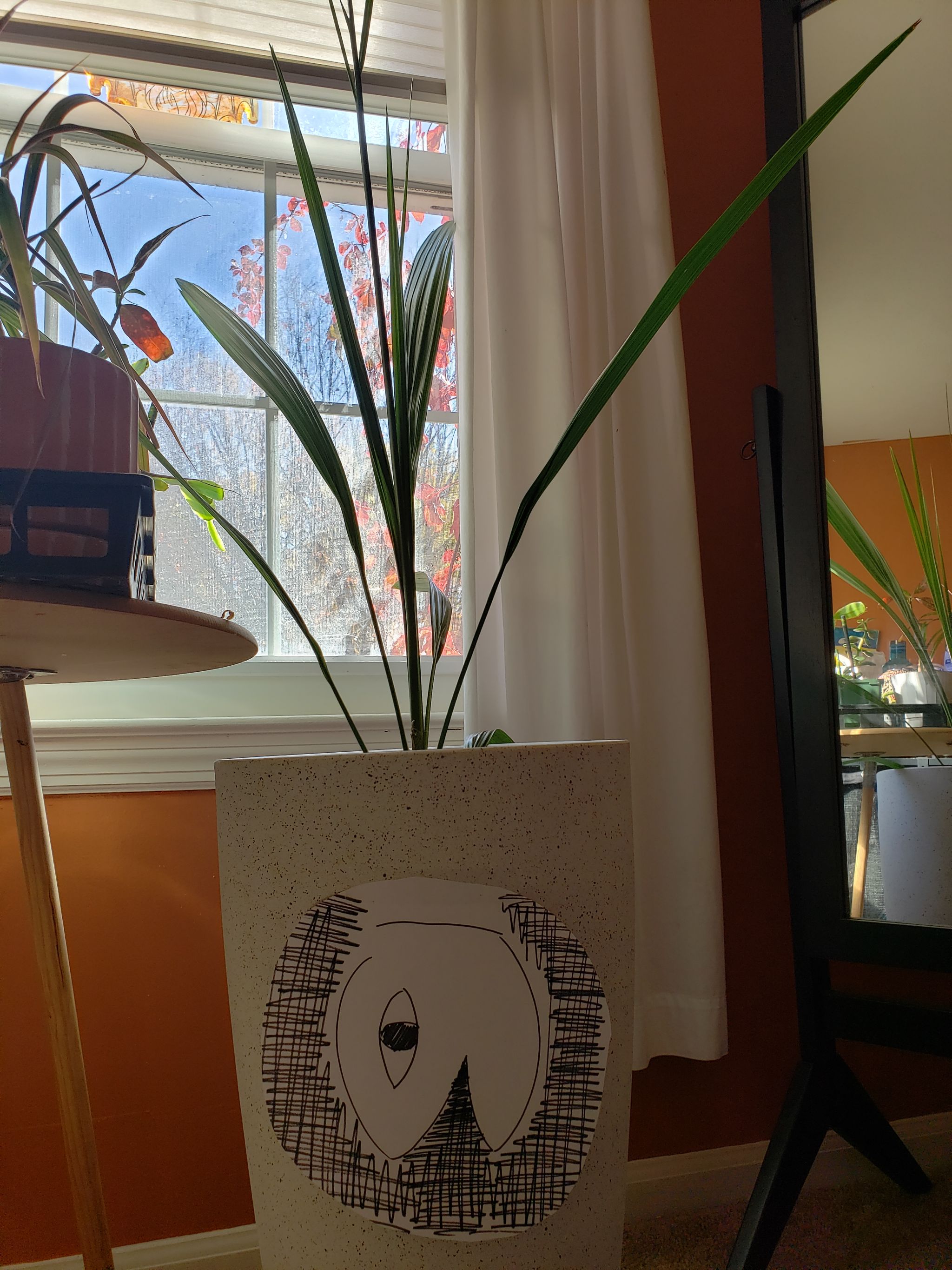 Photo from the post