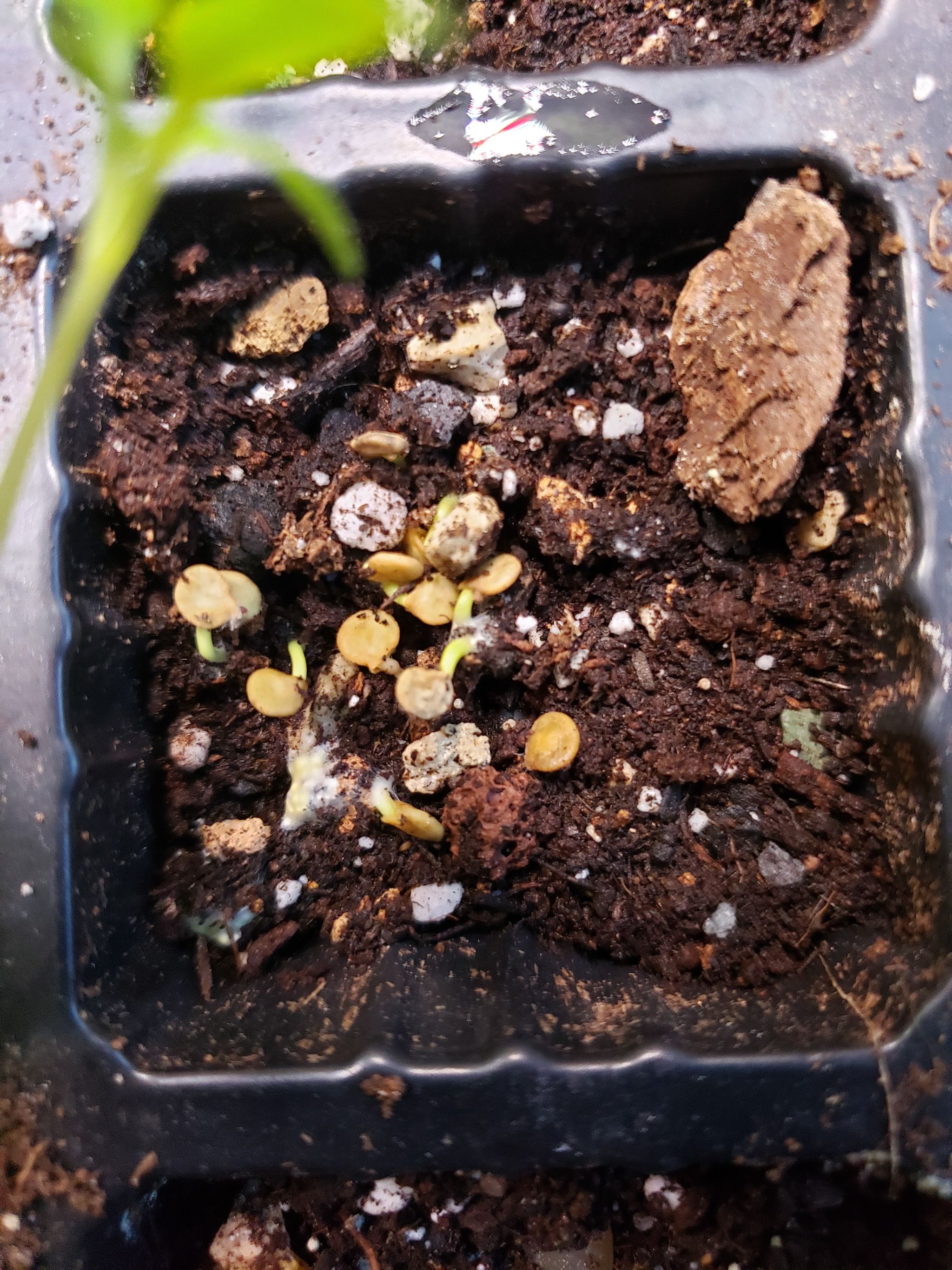 Photo from the post