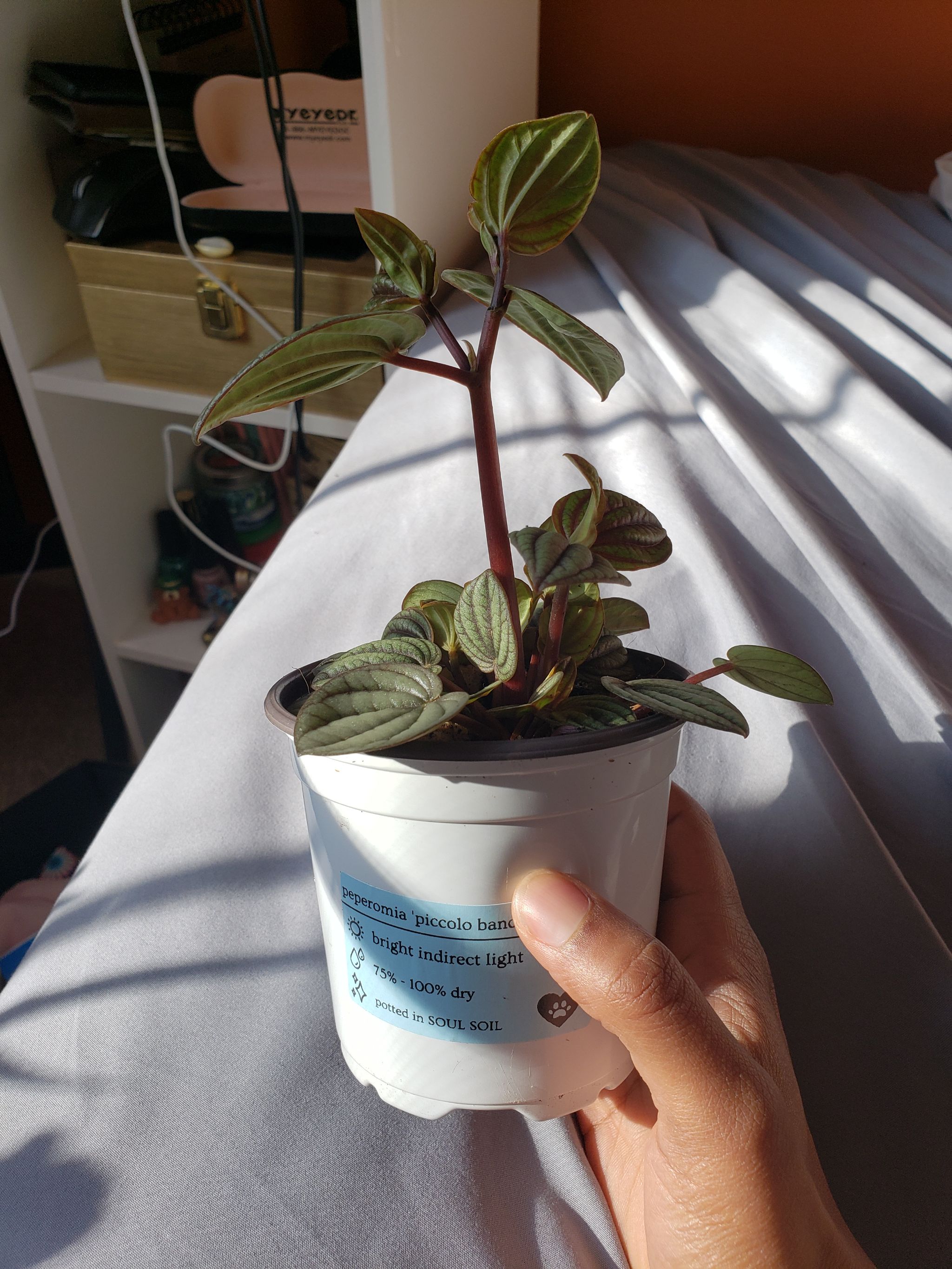 Photo from the post