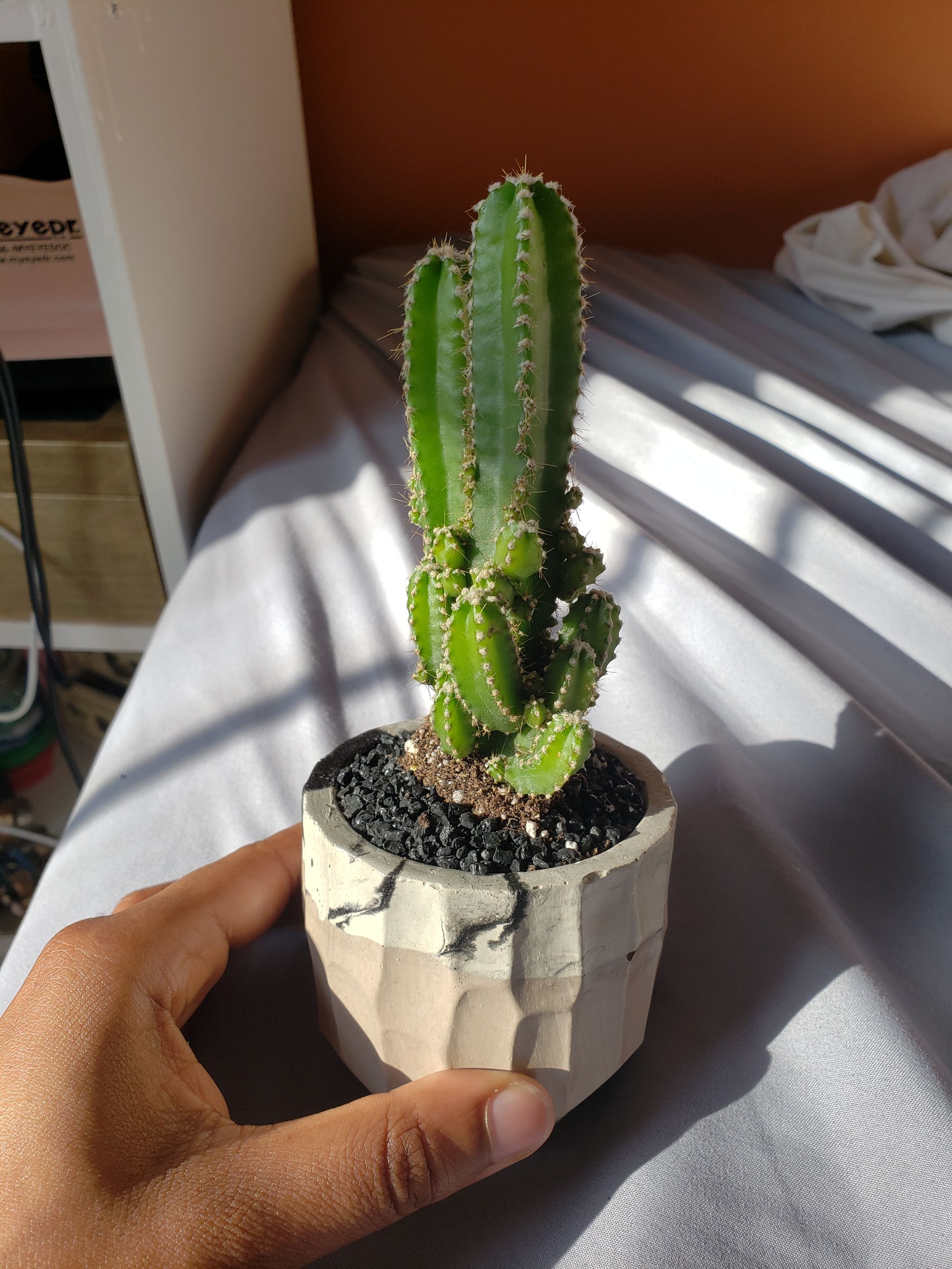 Photo from the post