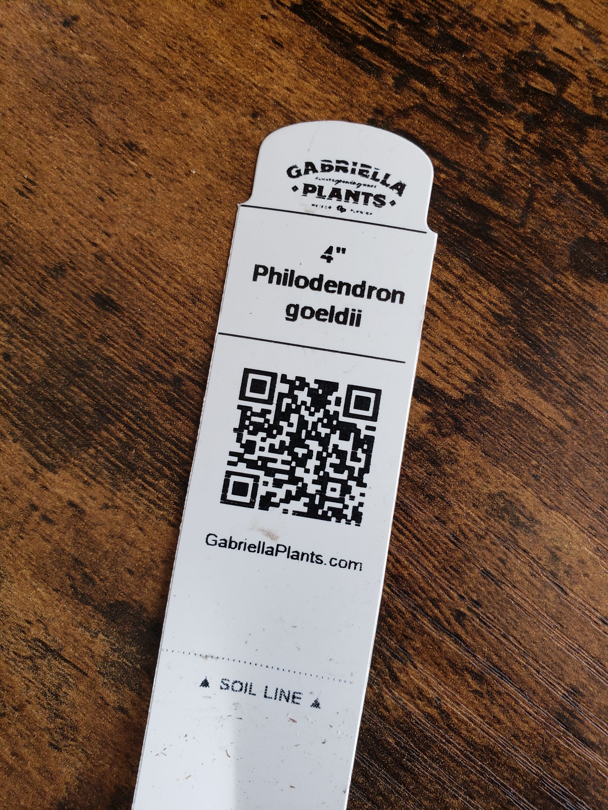 Photo from the post