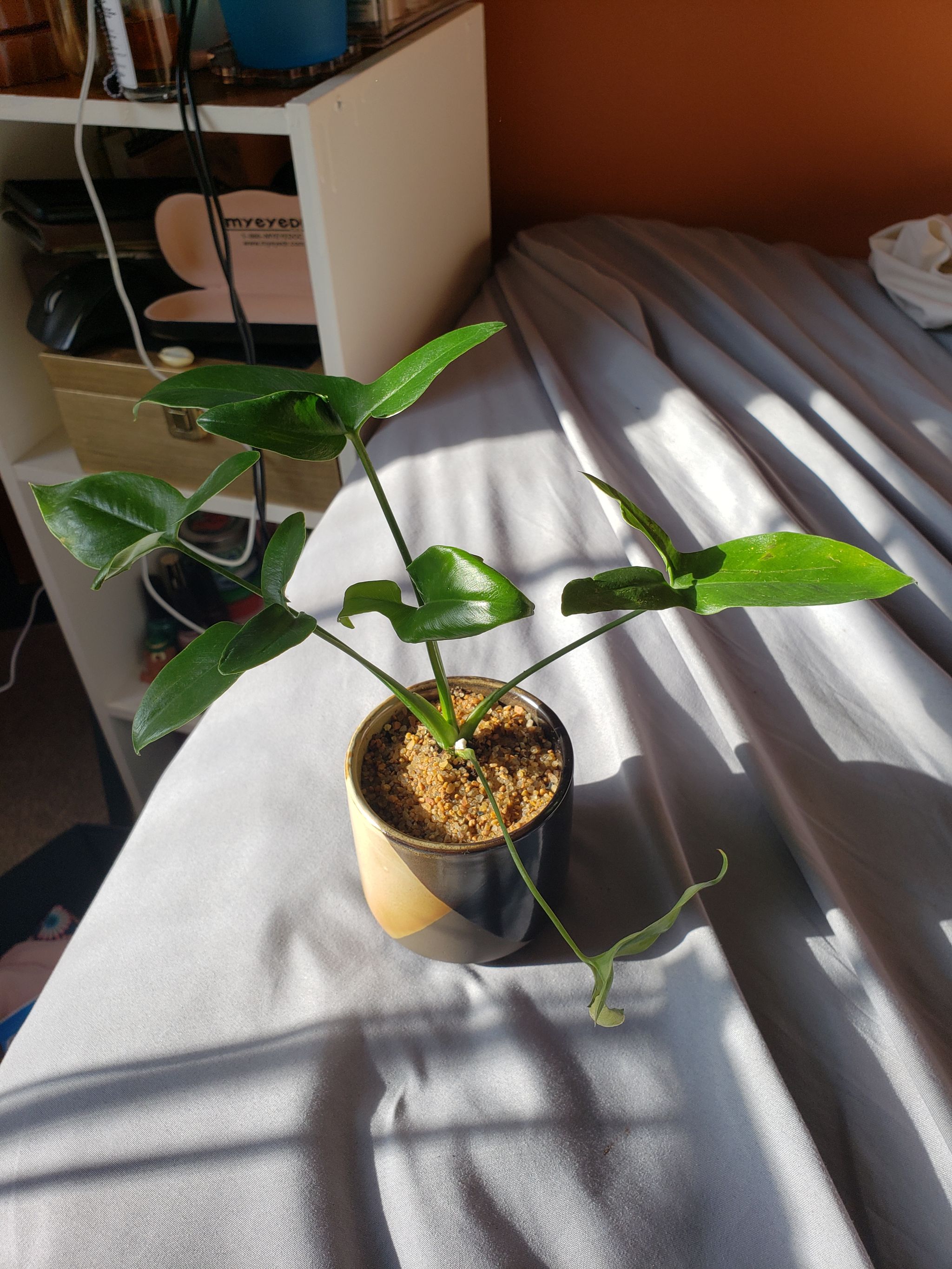 Photo from the post