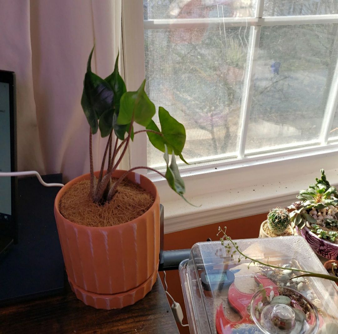 Photo from the post