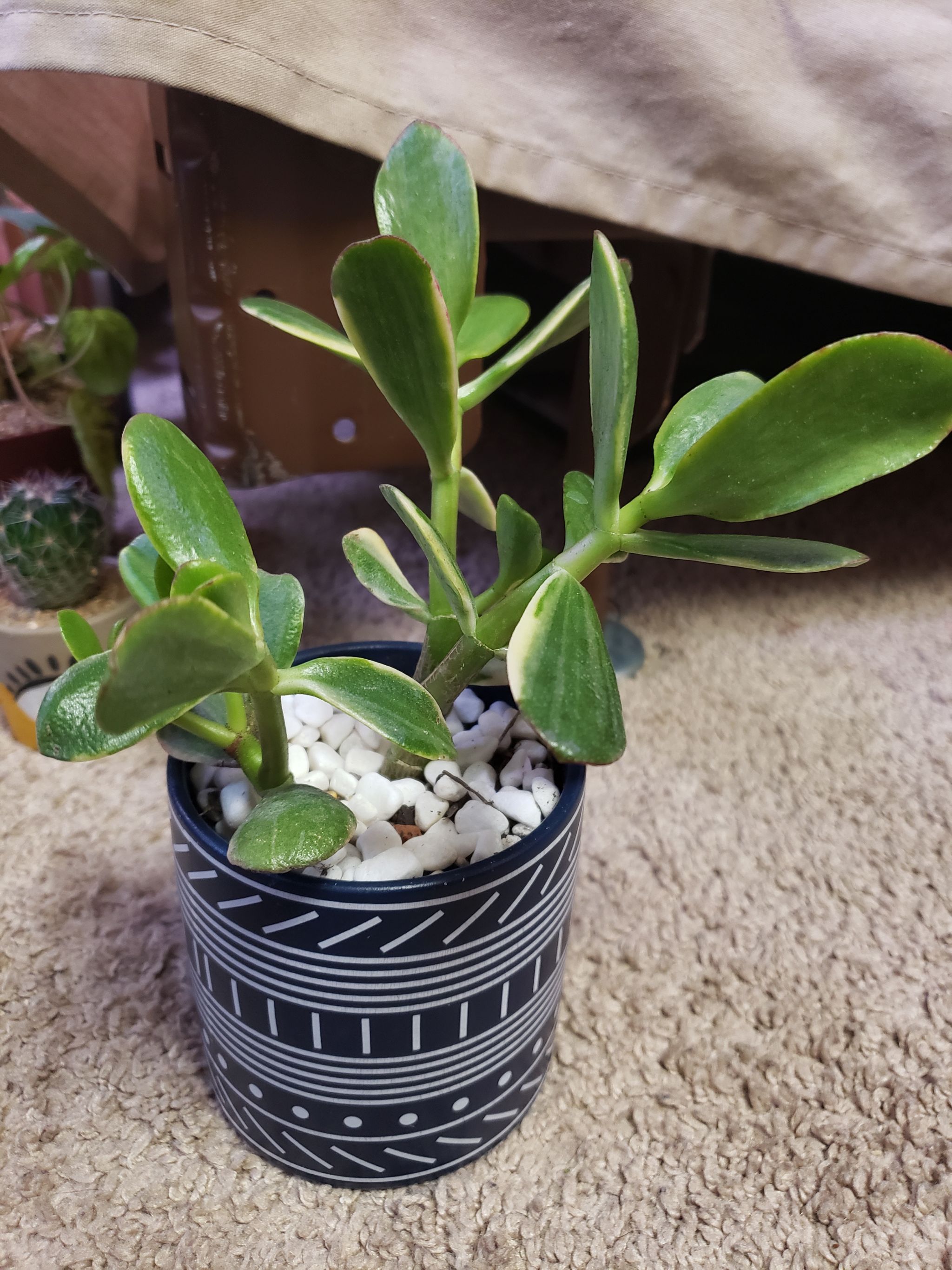 Photo from the post