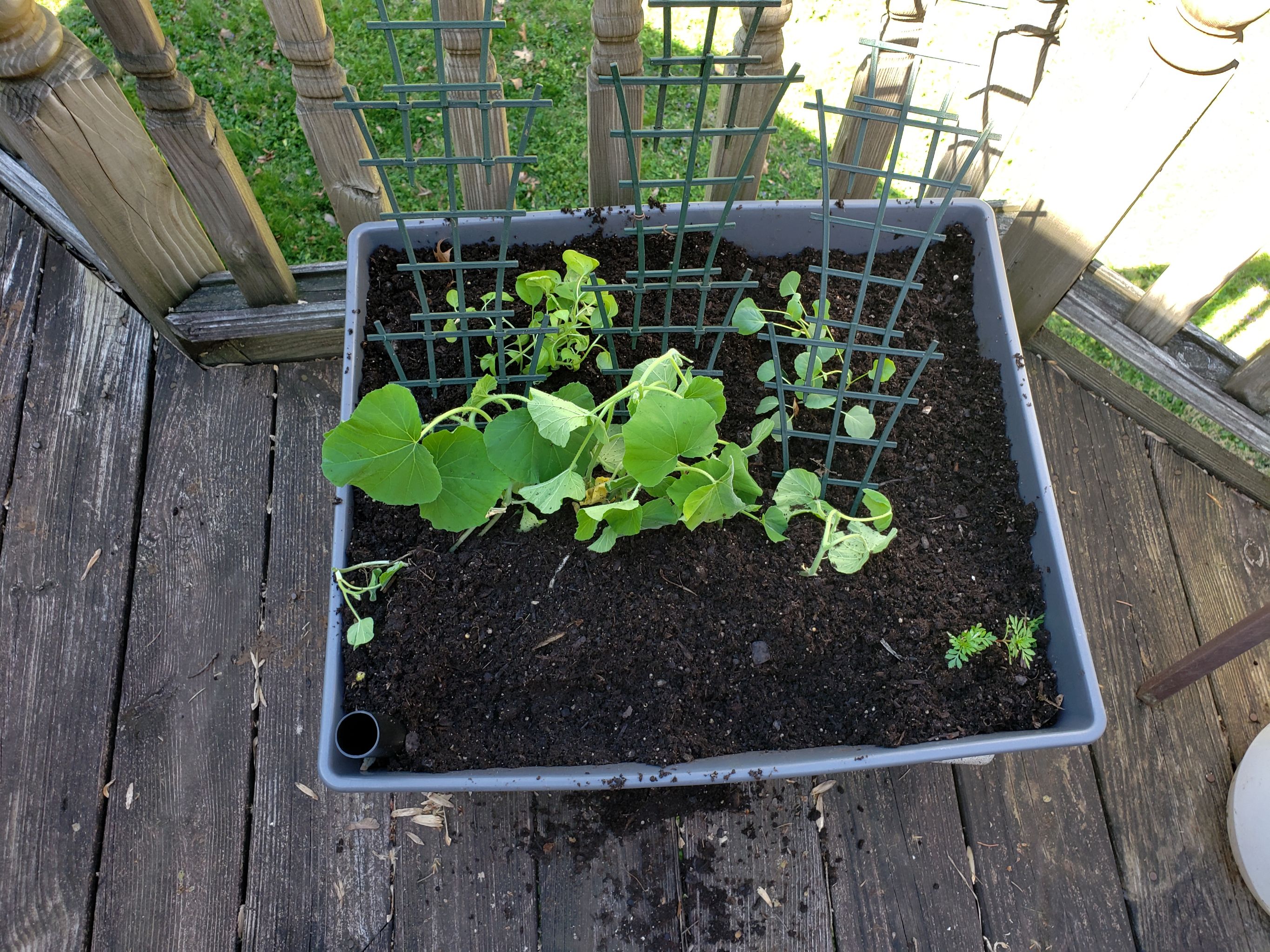 Photo from the post