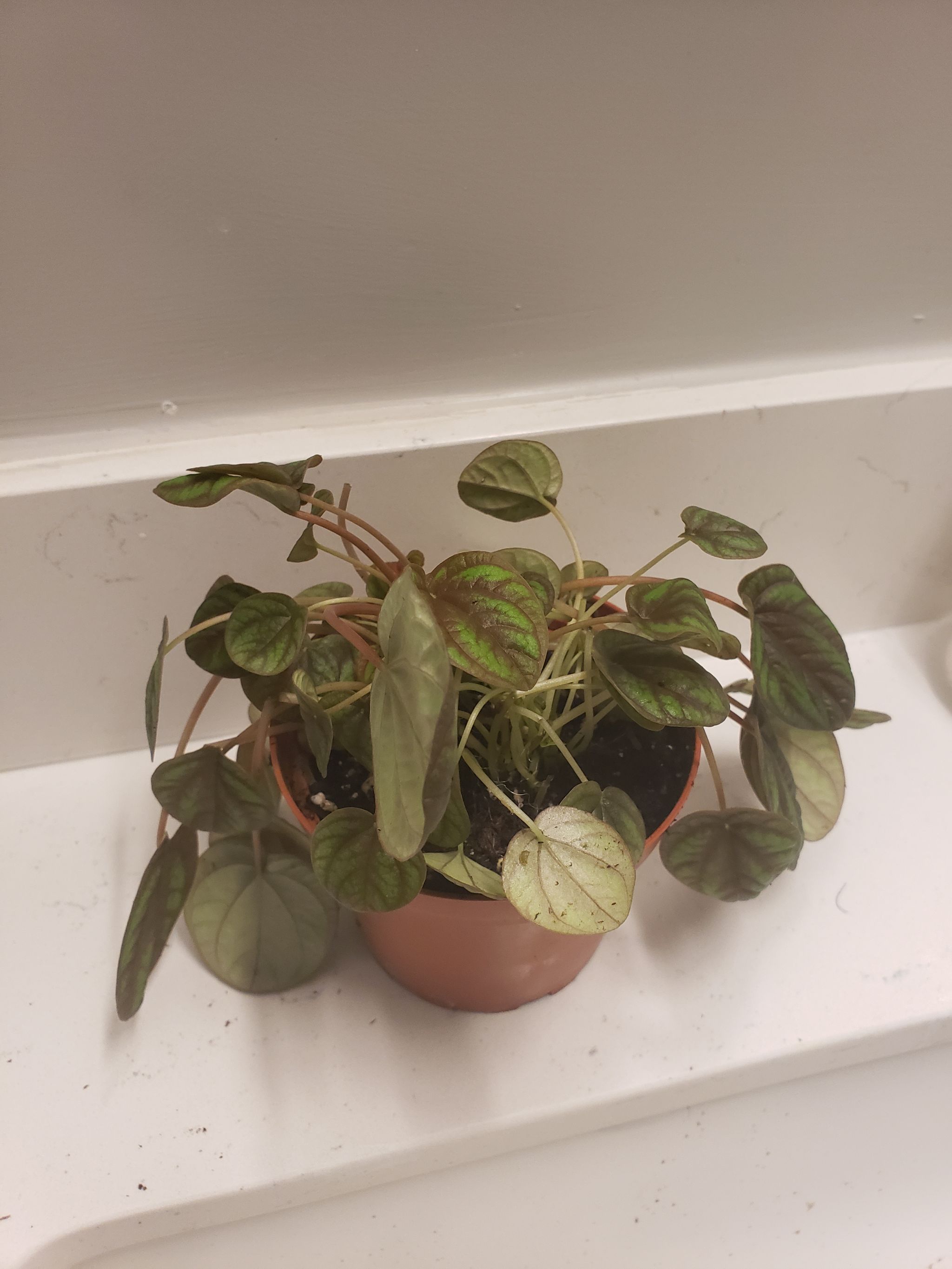Photo from the post