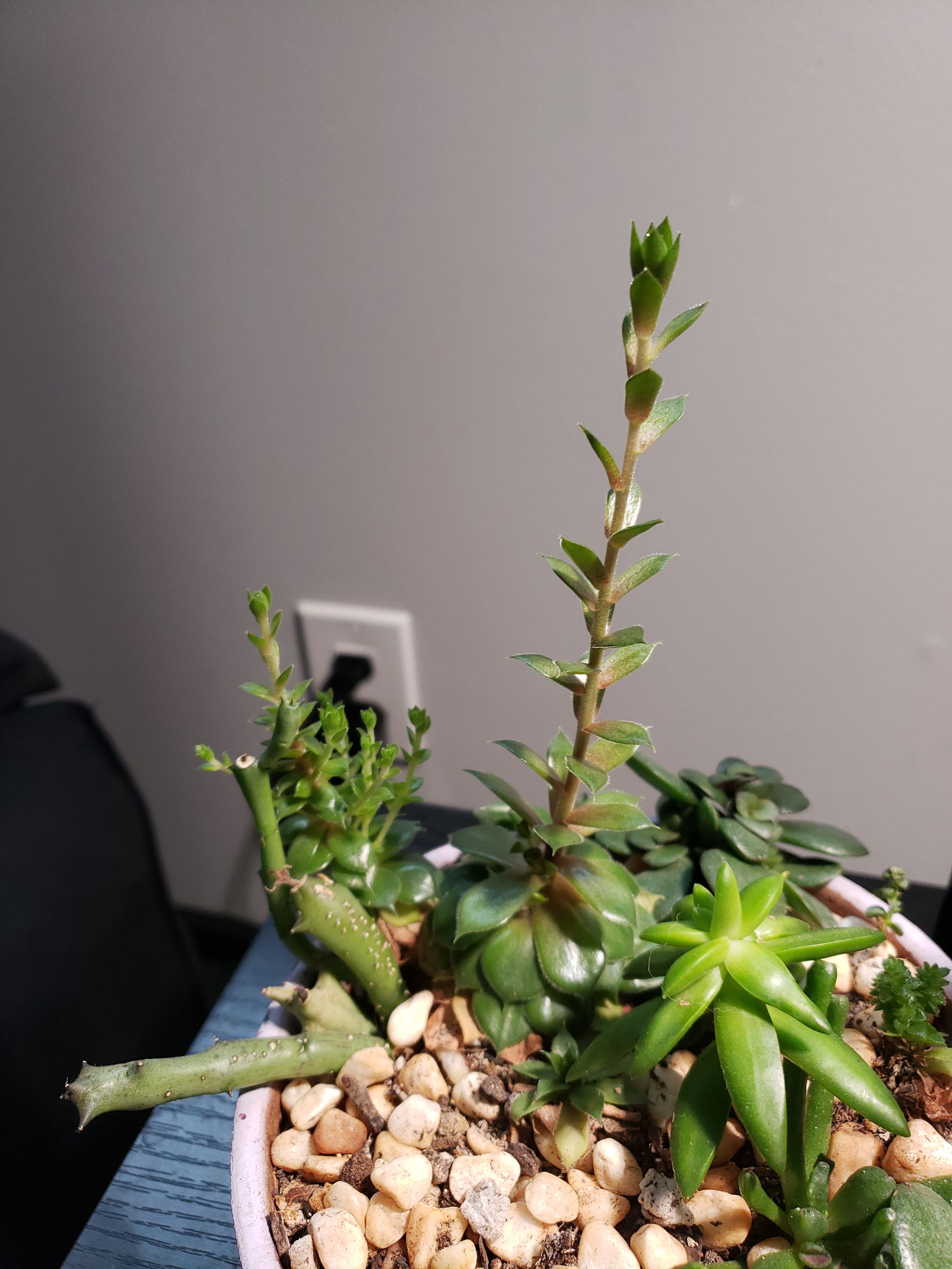 Photo from the post