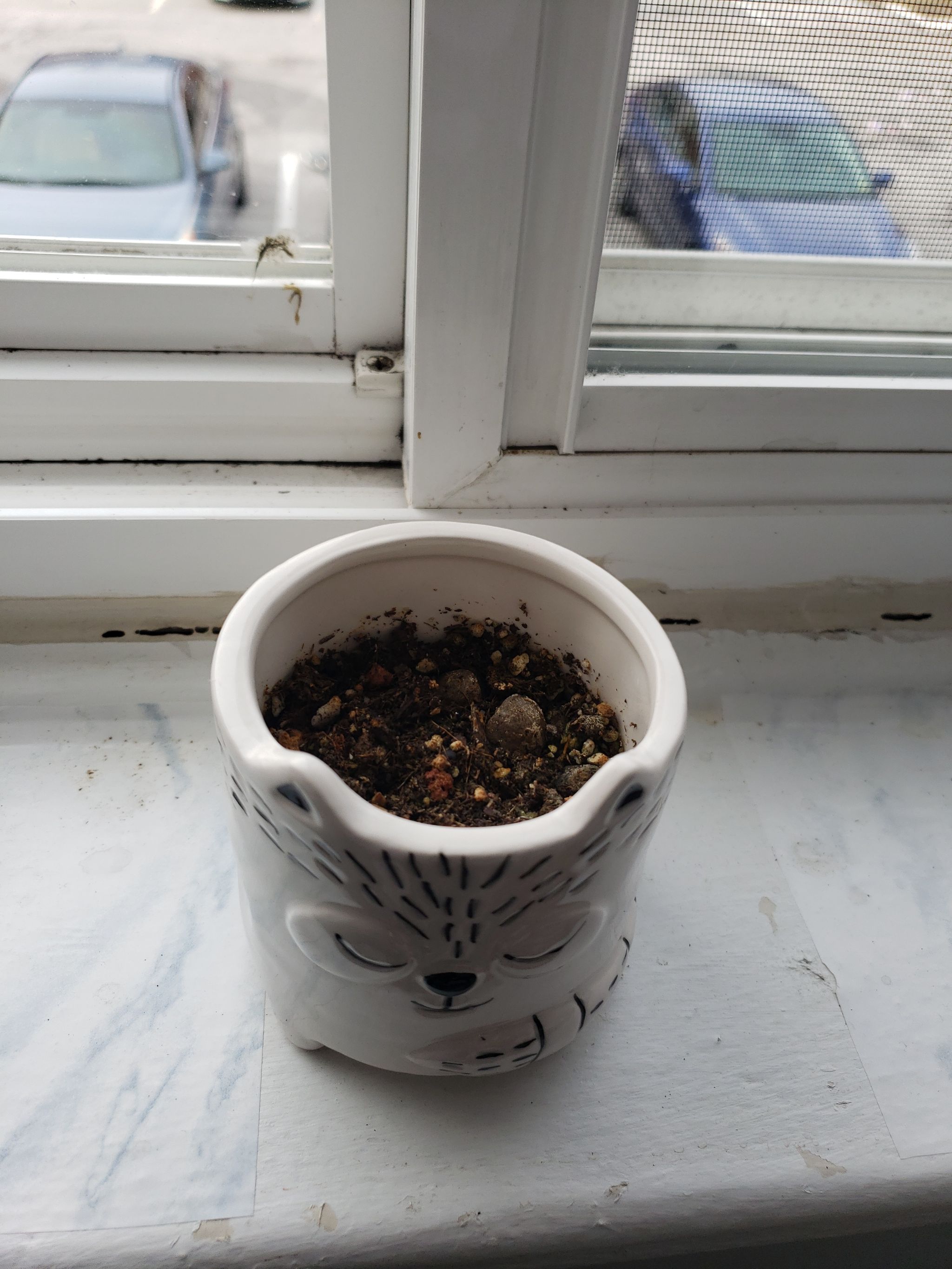 Photo from the post