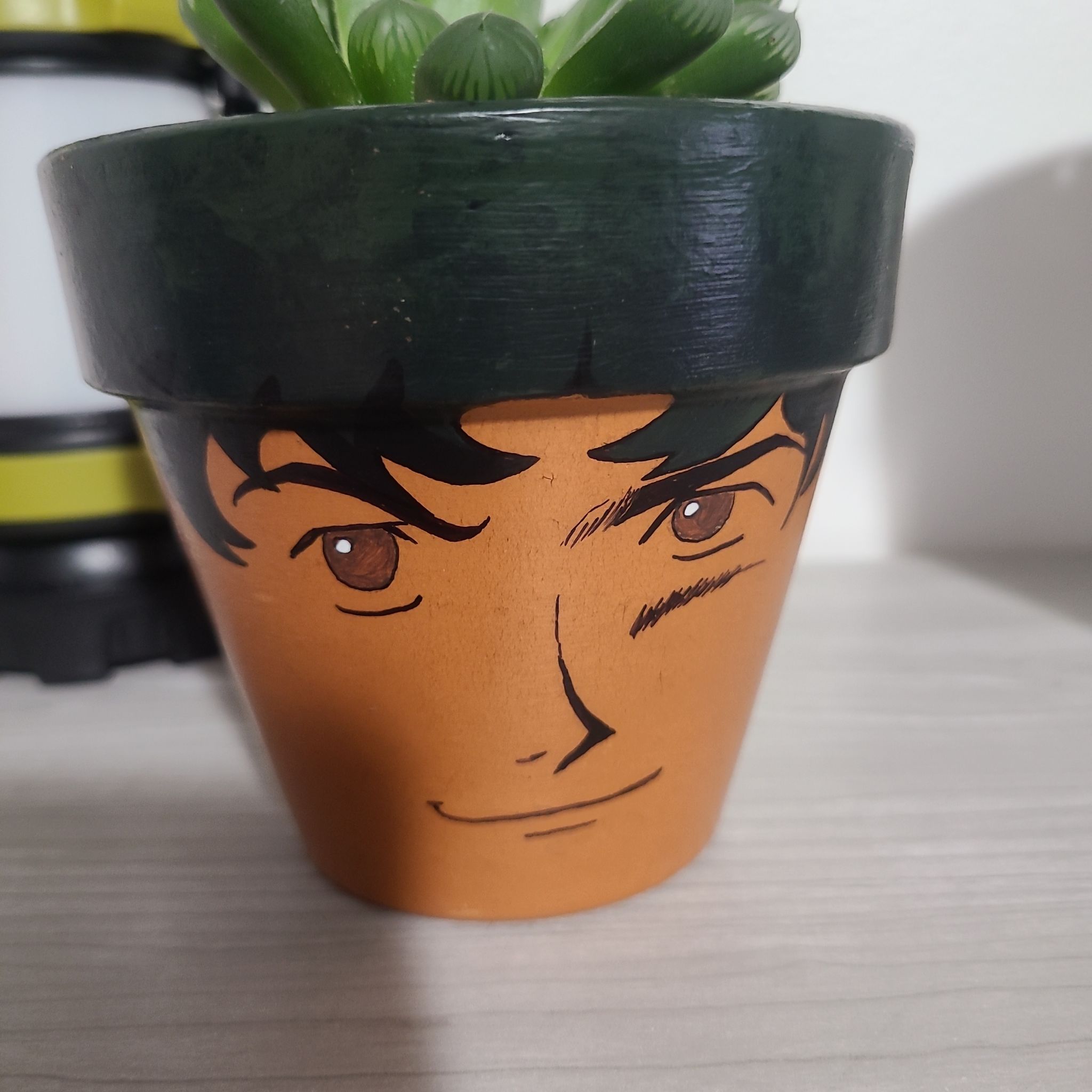 Haworthia 'Obtusa' plant in a decorative pot with a face design.