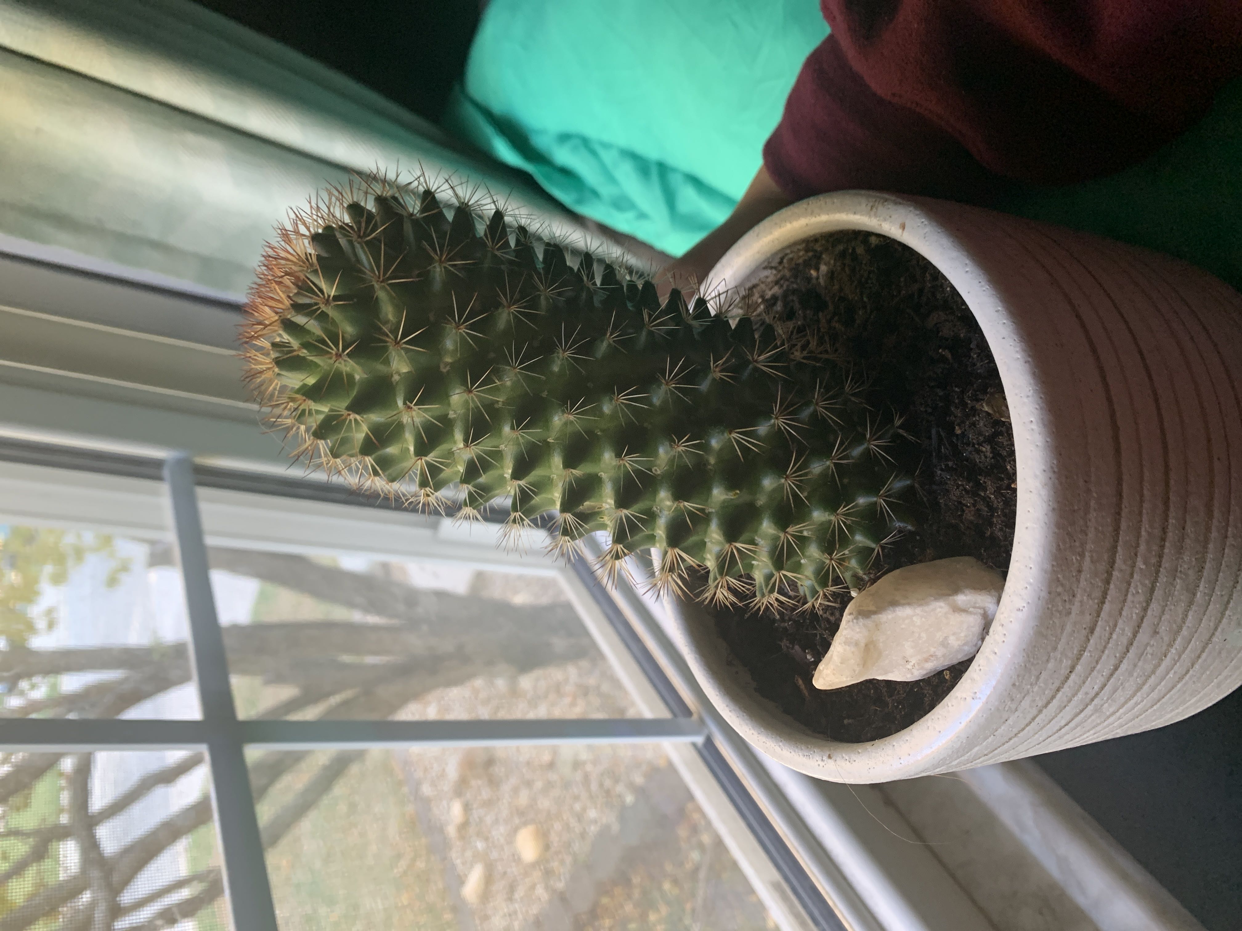 Photo from the post