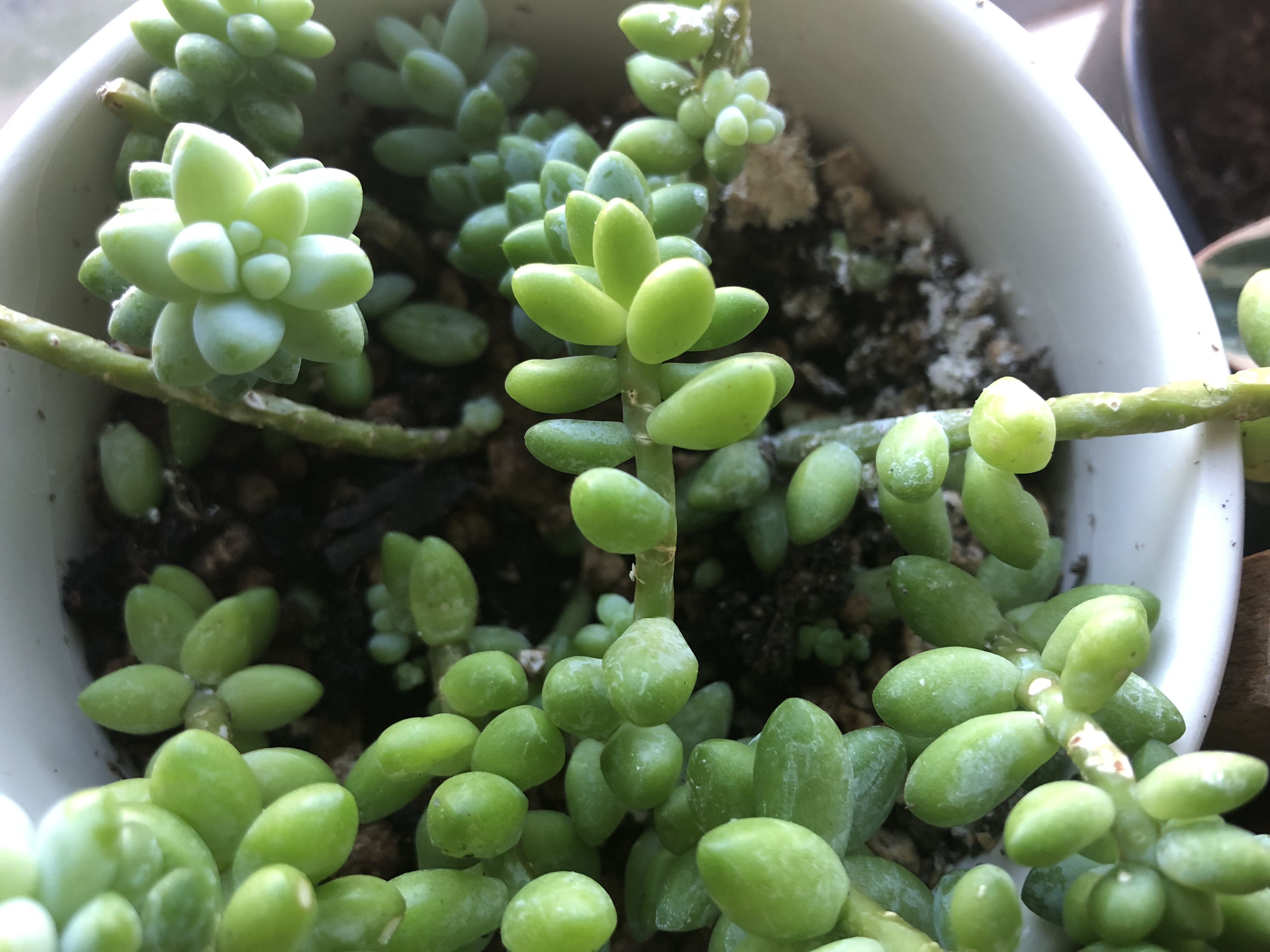 Photo from the post