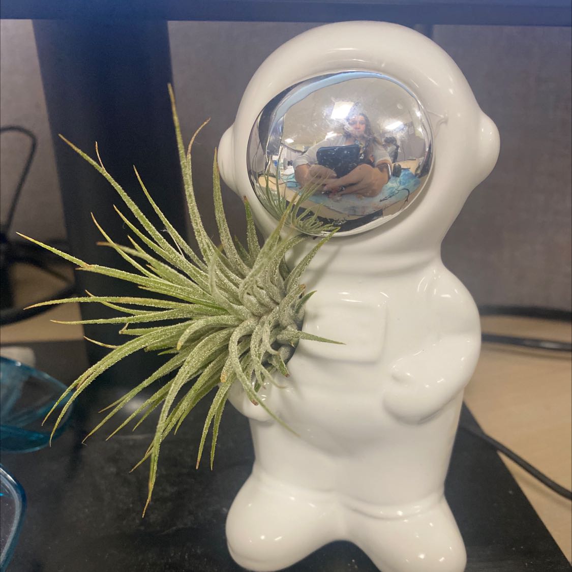 Healthy pink-tipped air plant displayed in a white ceramic astronaut planter. The plant has thin, spiky green leaves.