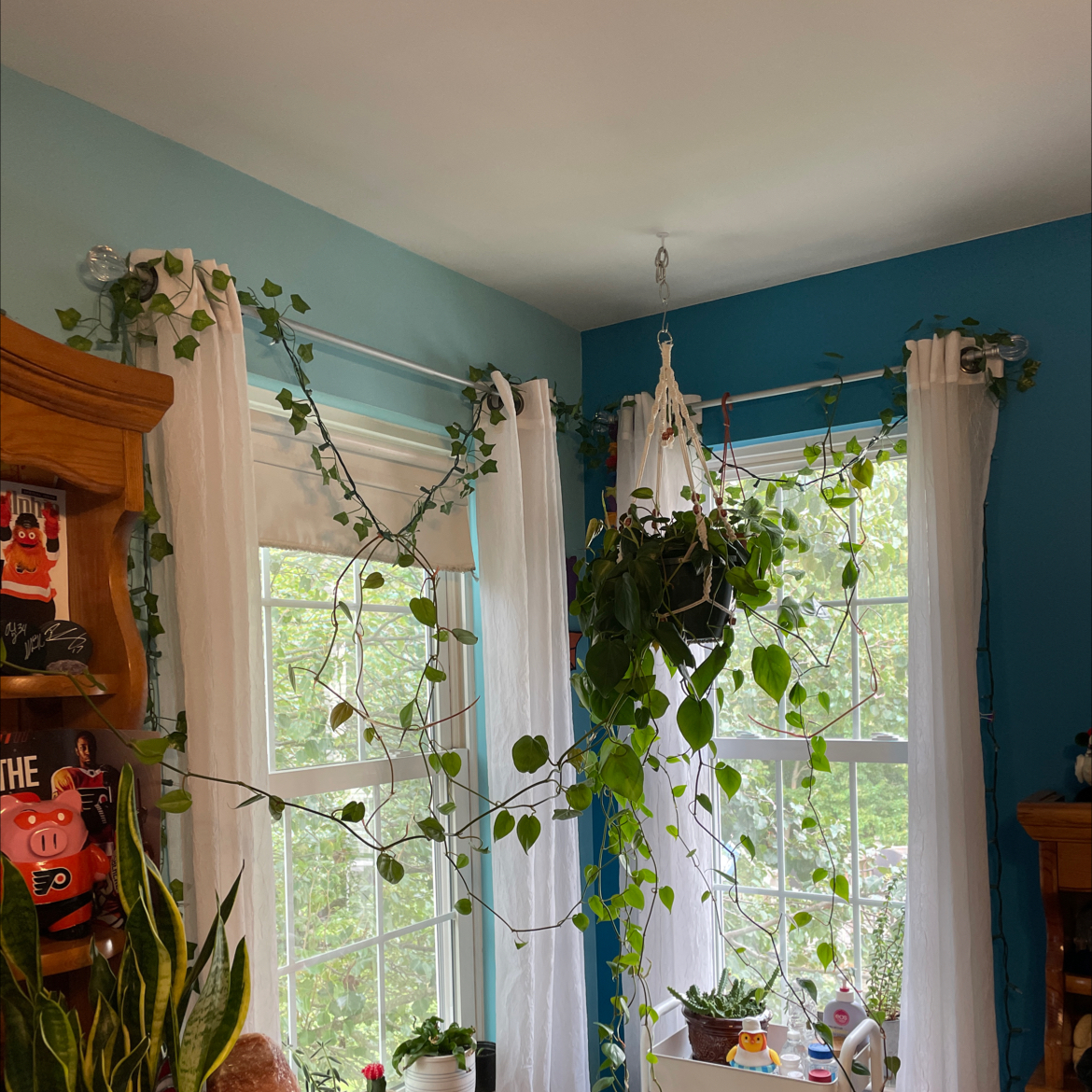 Philodendron Scandens plant photo by @laursinger named Keanu Leaves on Greg, the plant care app.