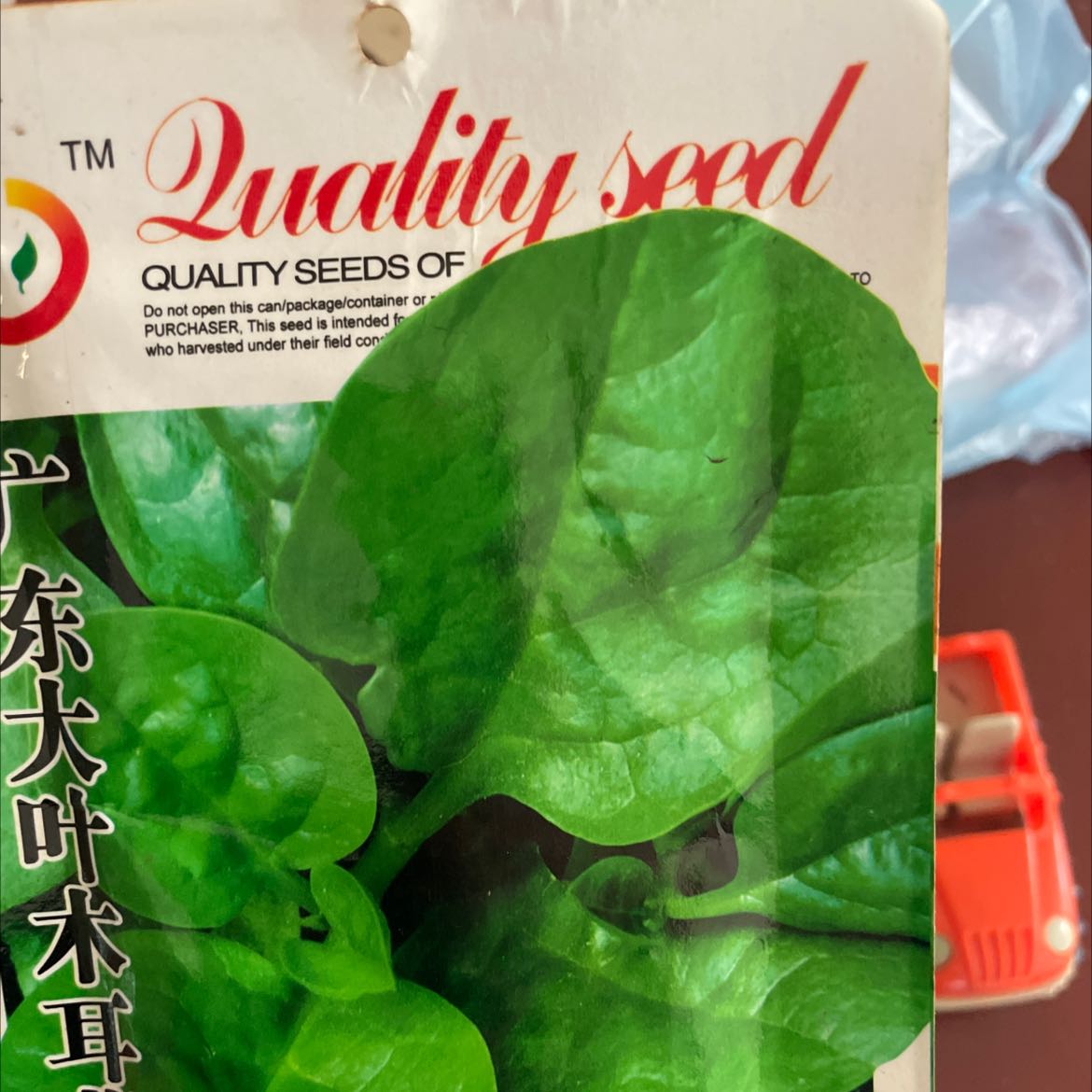 Plant care for Madeira Vine on Greg, the plant care app