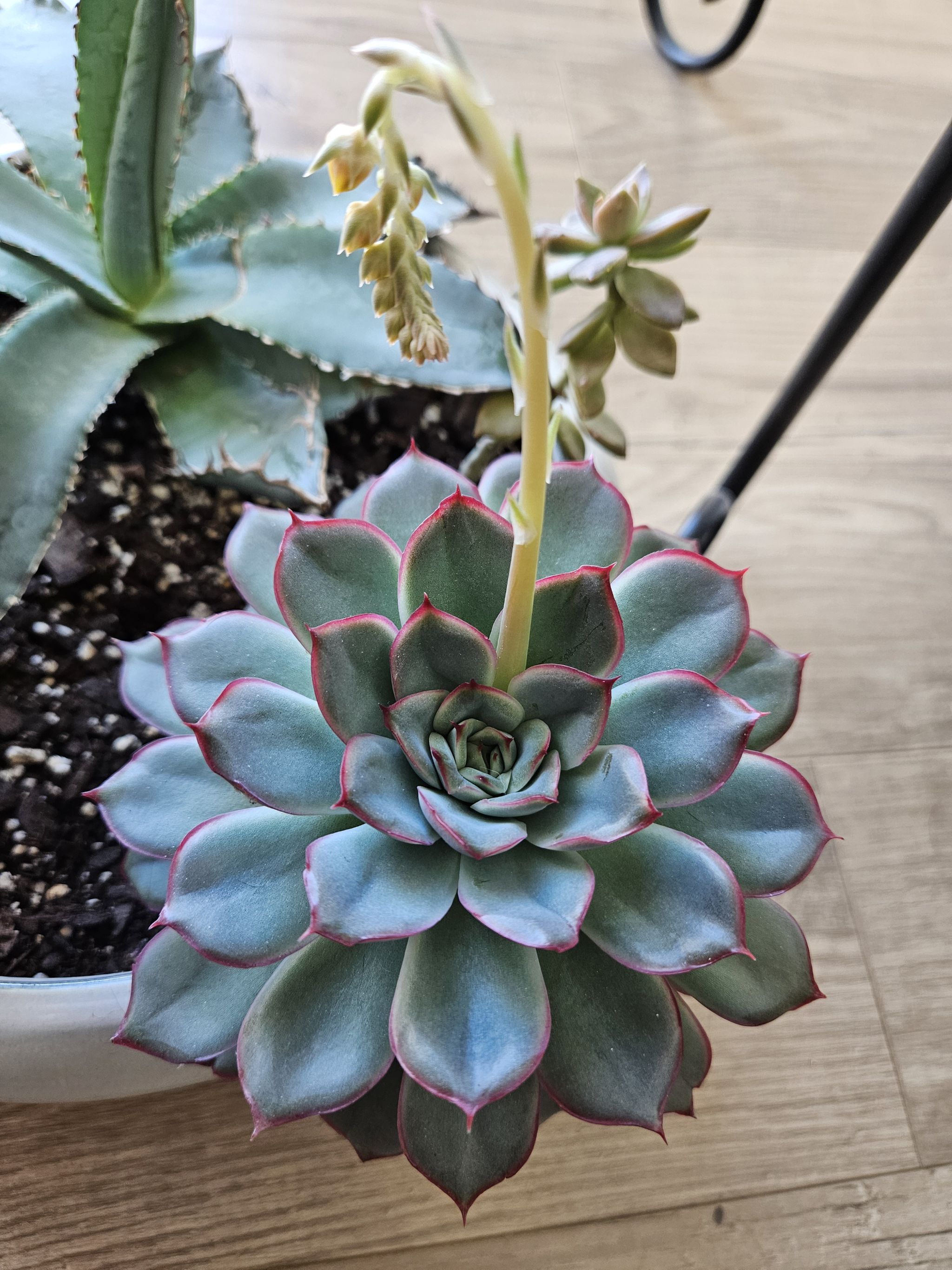 Photo from the post