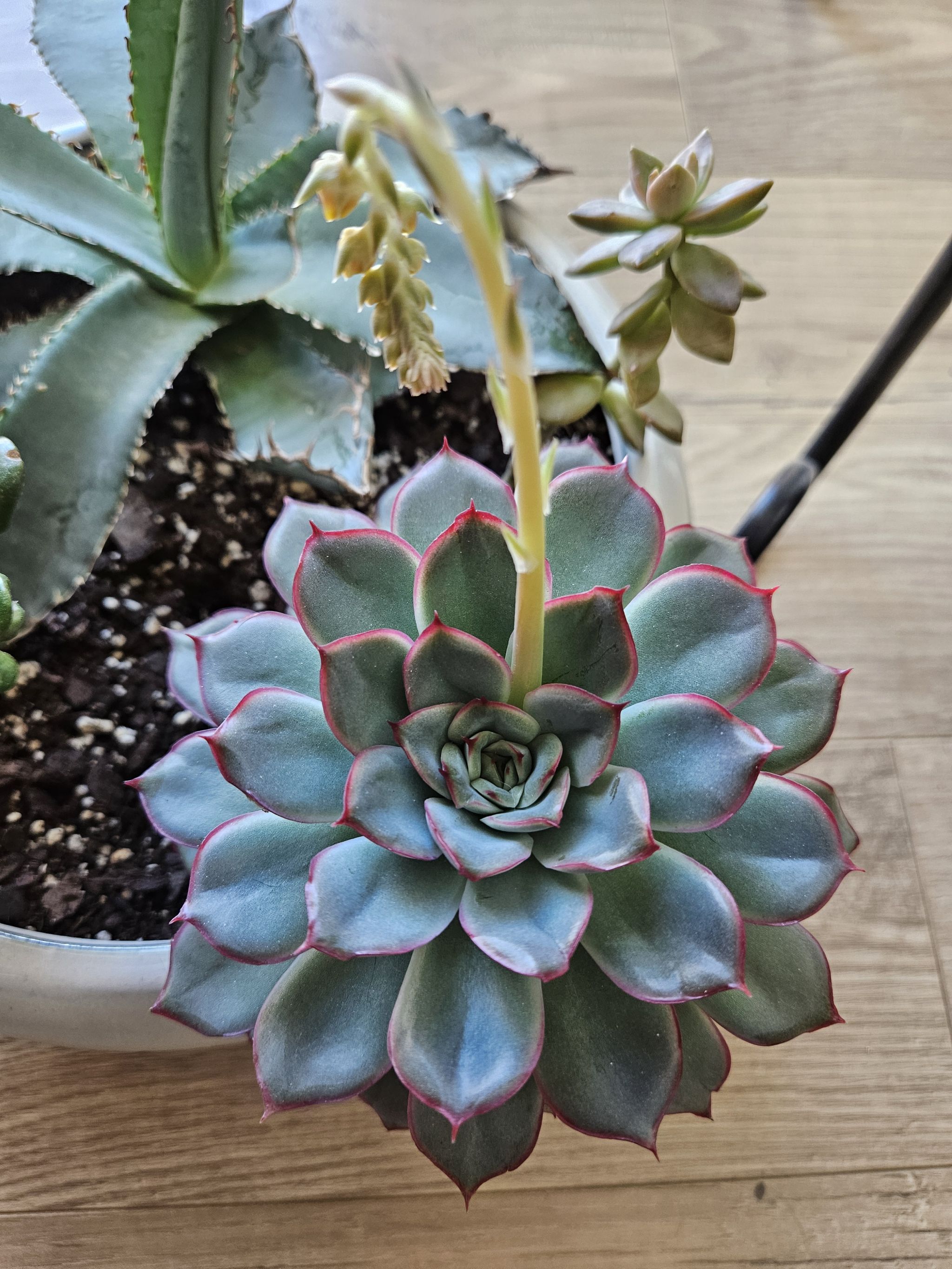 Photo from the post
