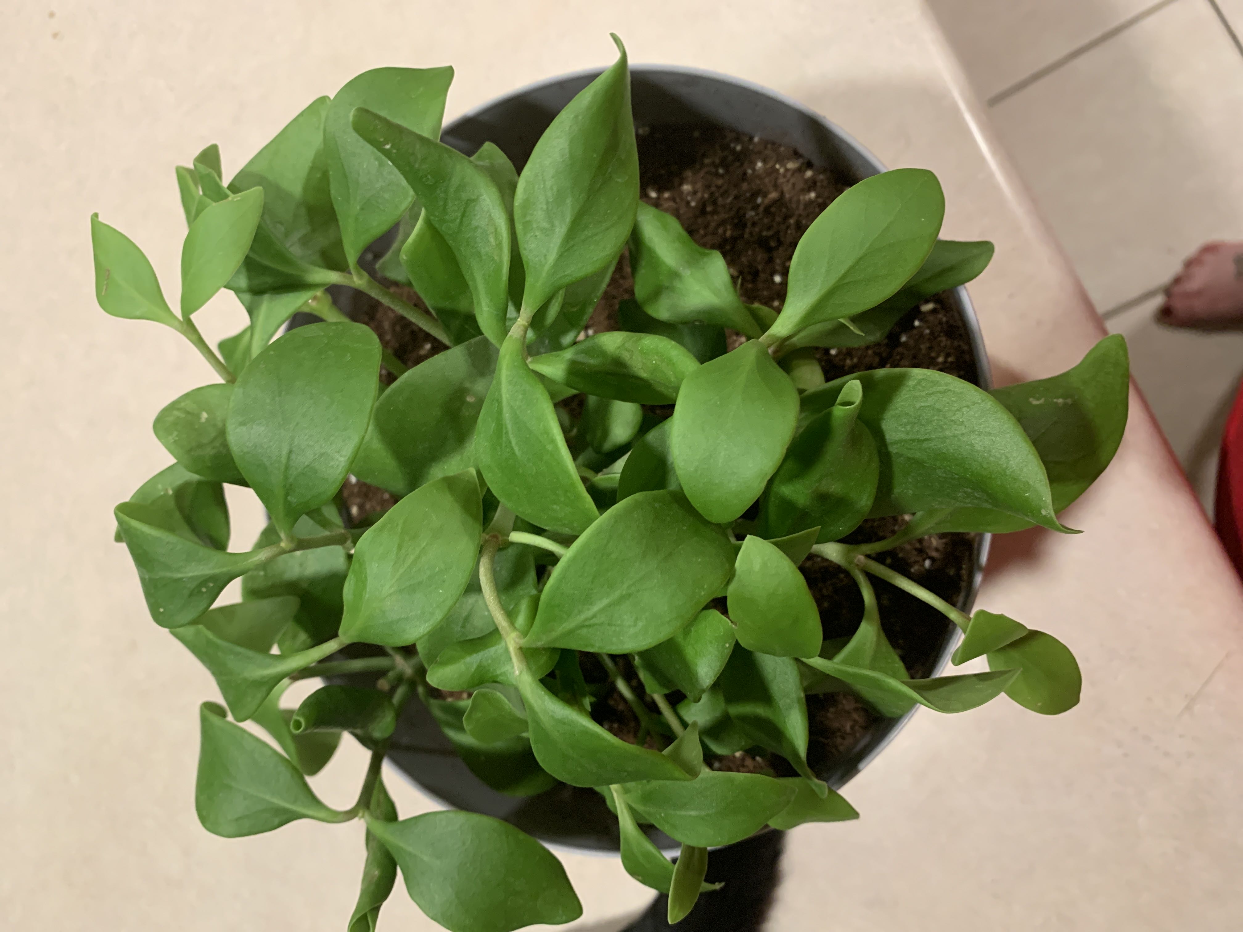 Photo from the post