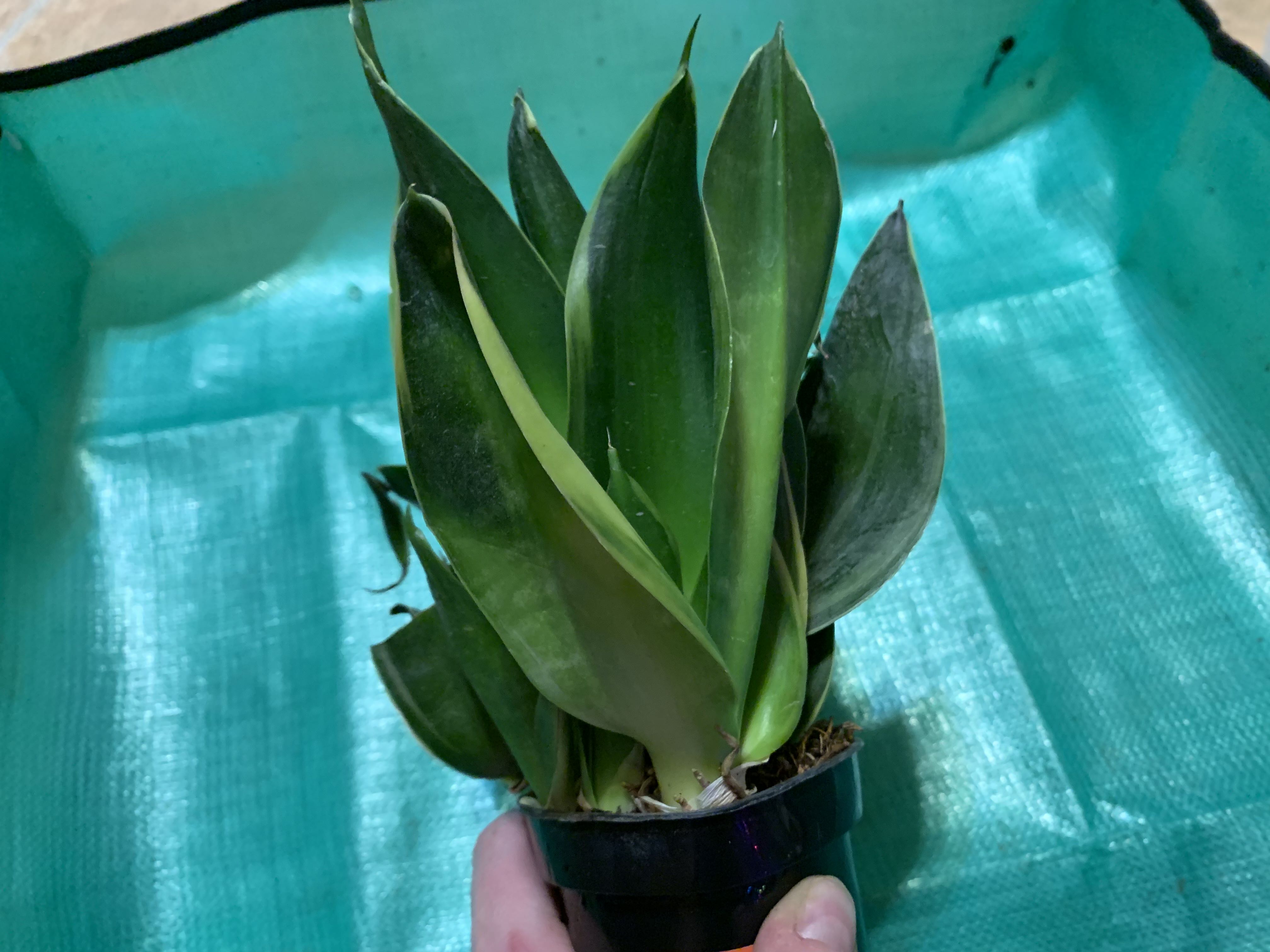 Photo from the post