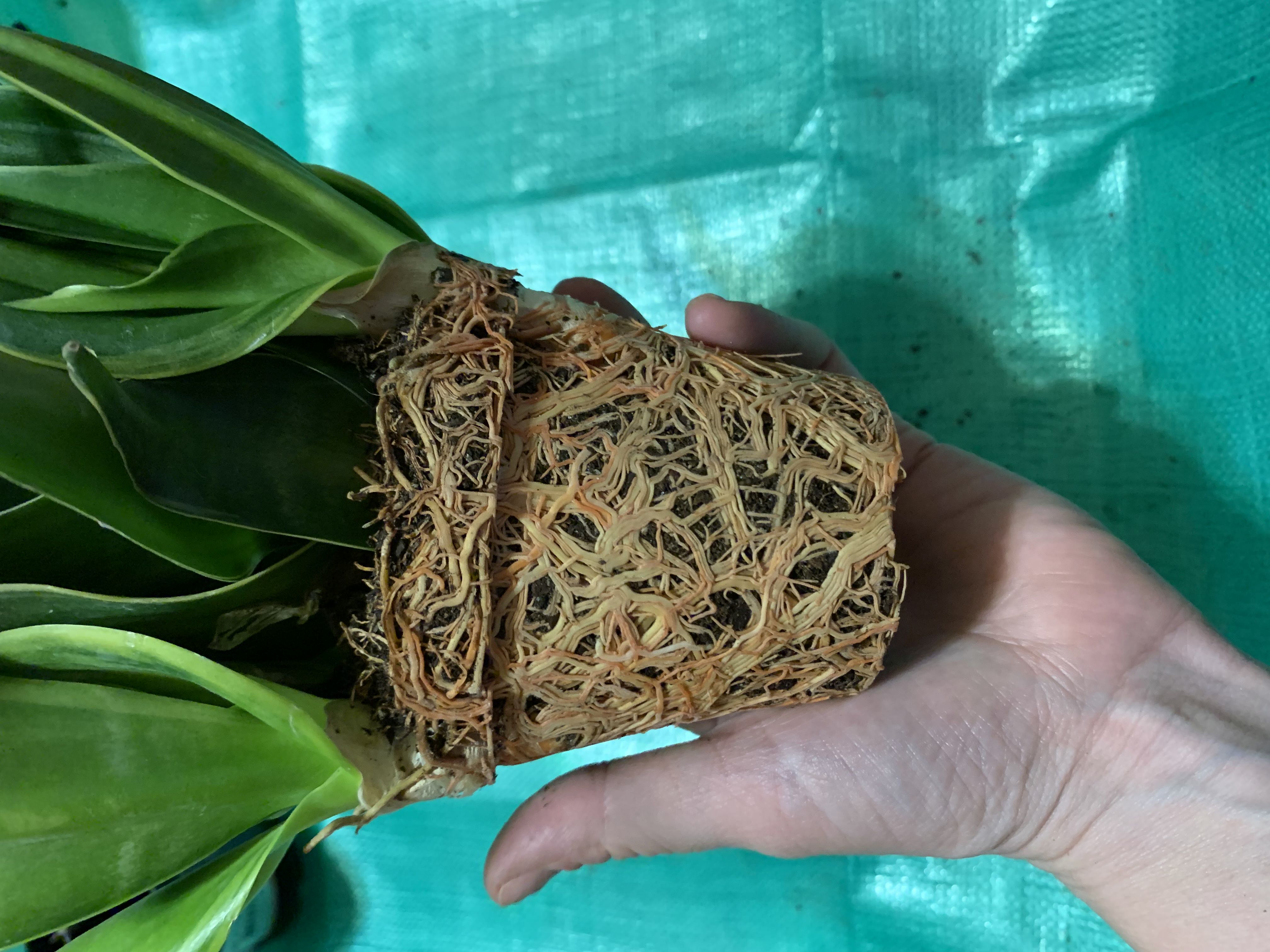 Photo from the post