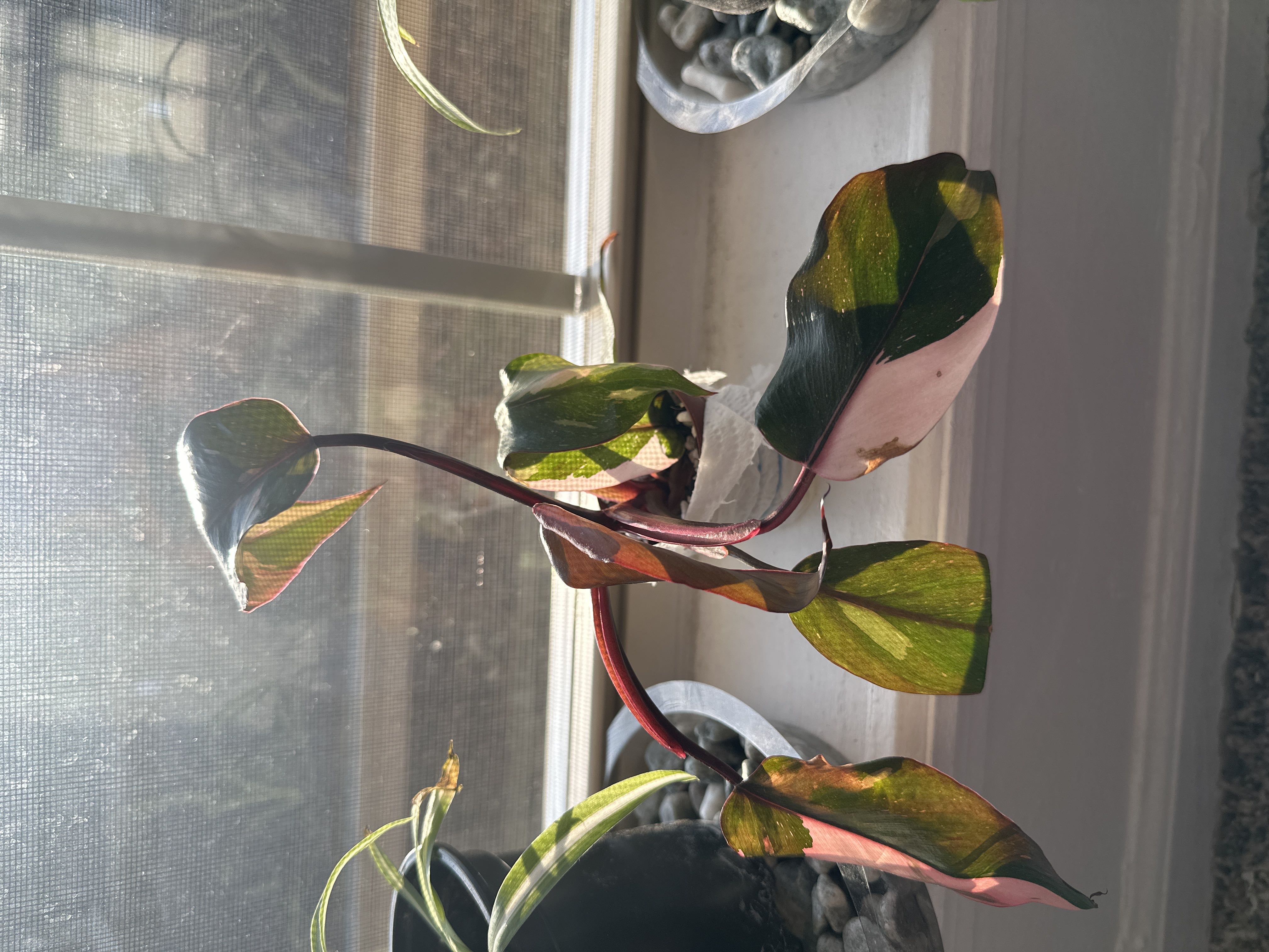 Photo from the post